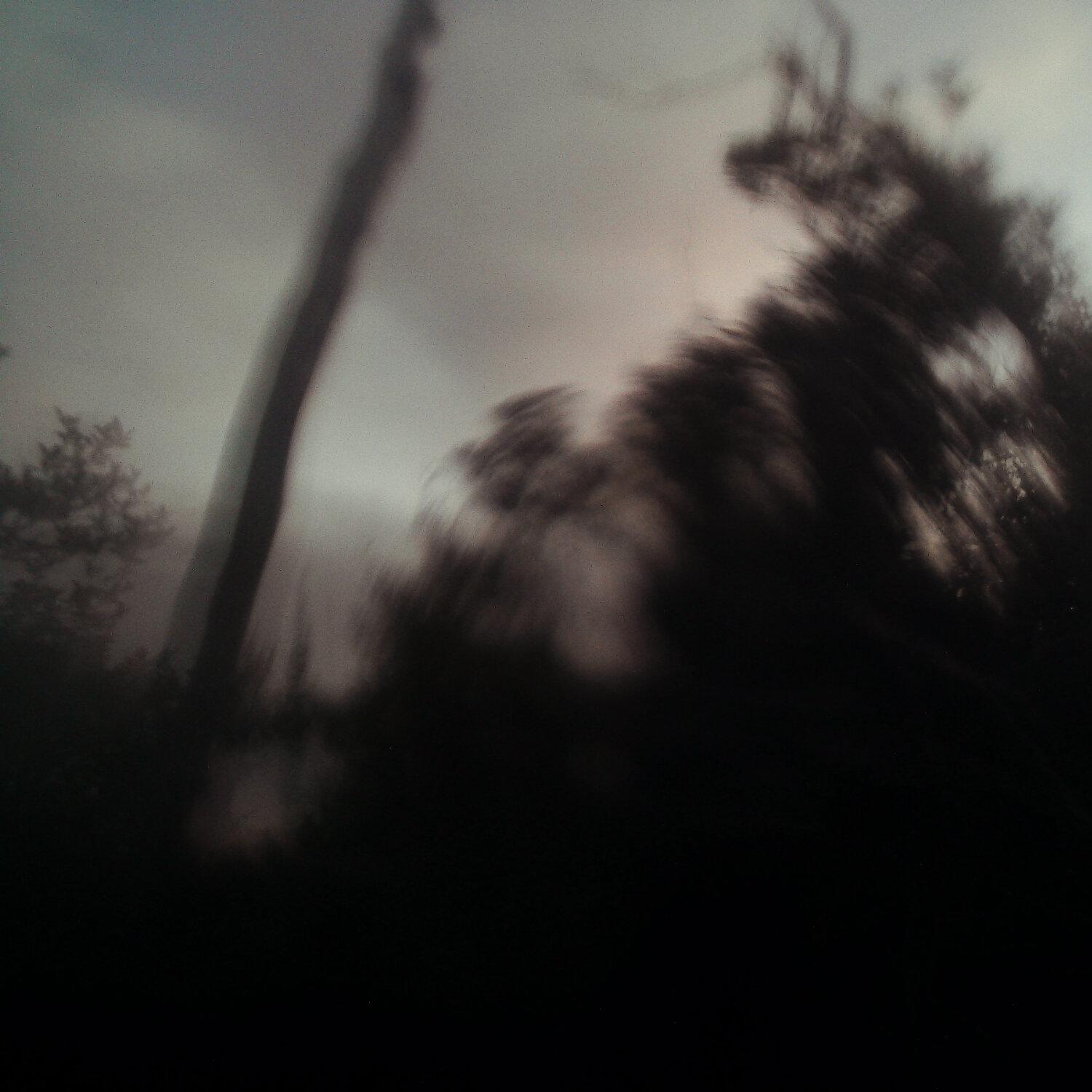 A photo captured from the webcam at the time the audio was recorded