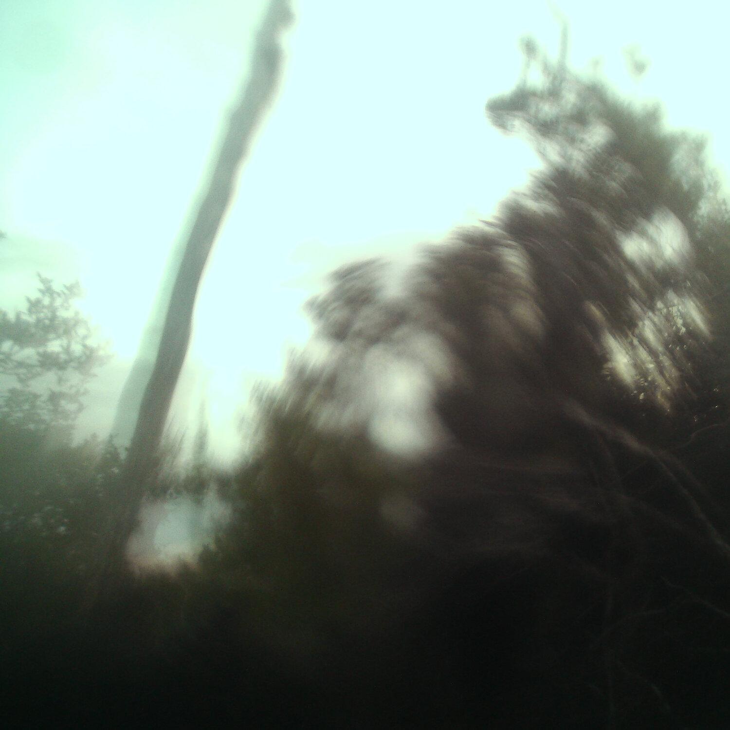A photo captured from the webcam at the time the audio was recorded