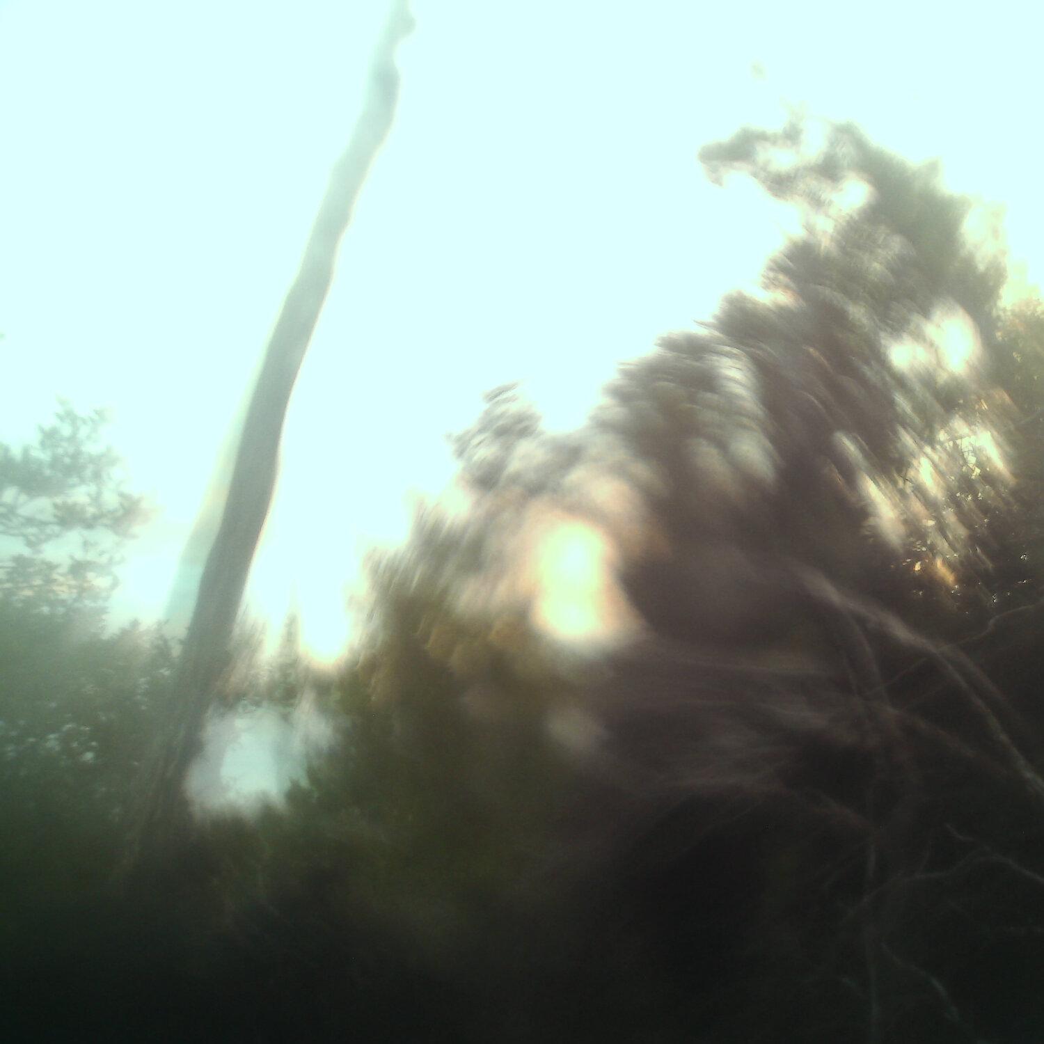 A photo captured from the webcam at the time the audio was recorded