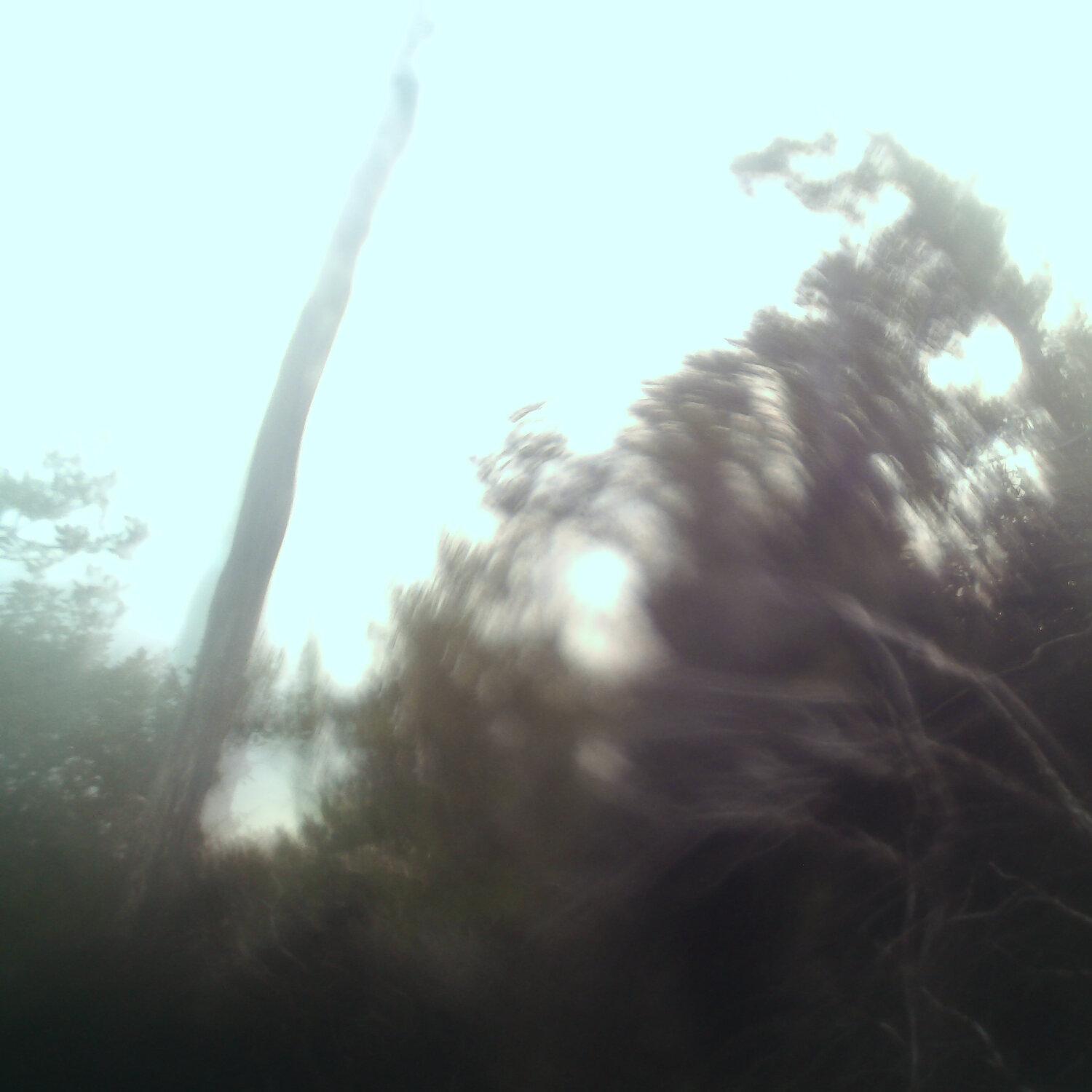 A photo captured from the webcam at the time the audio was recorded