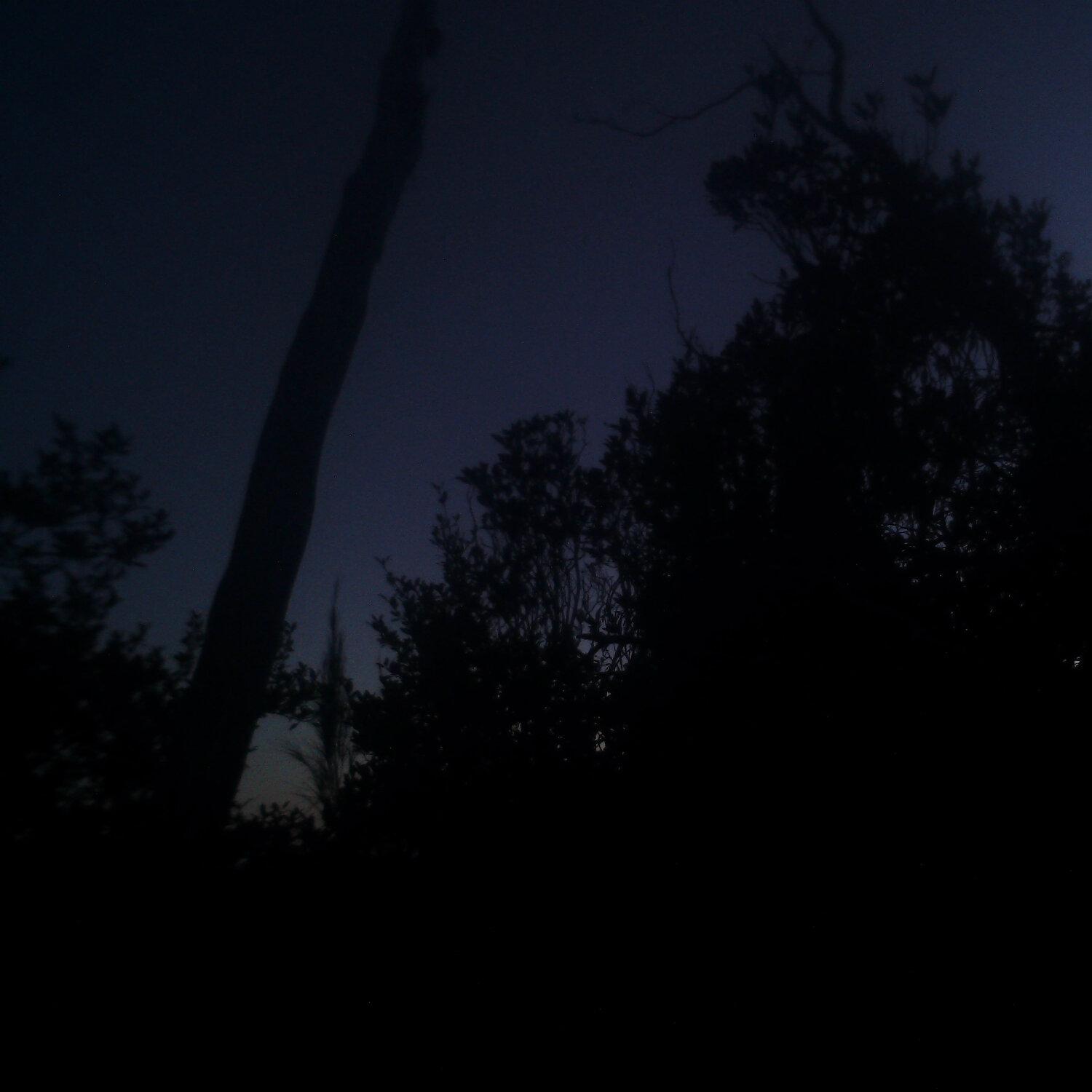 A photo captured from the webcam at the time the audio was recorded