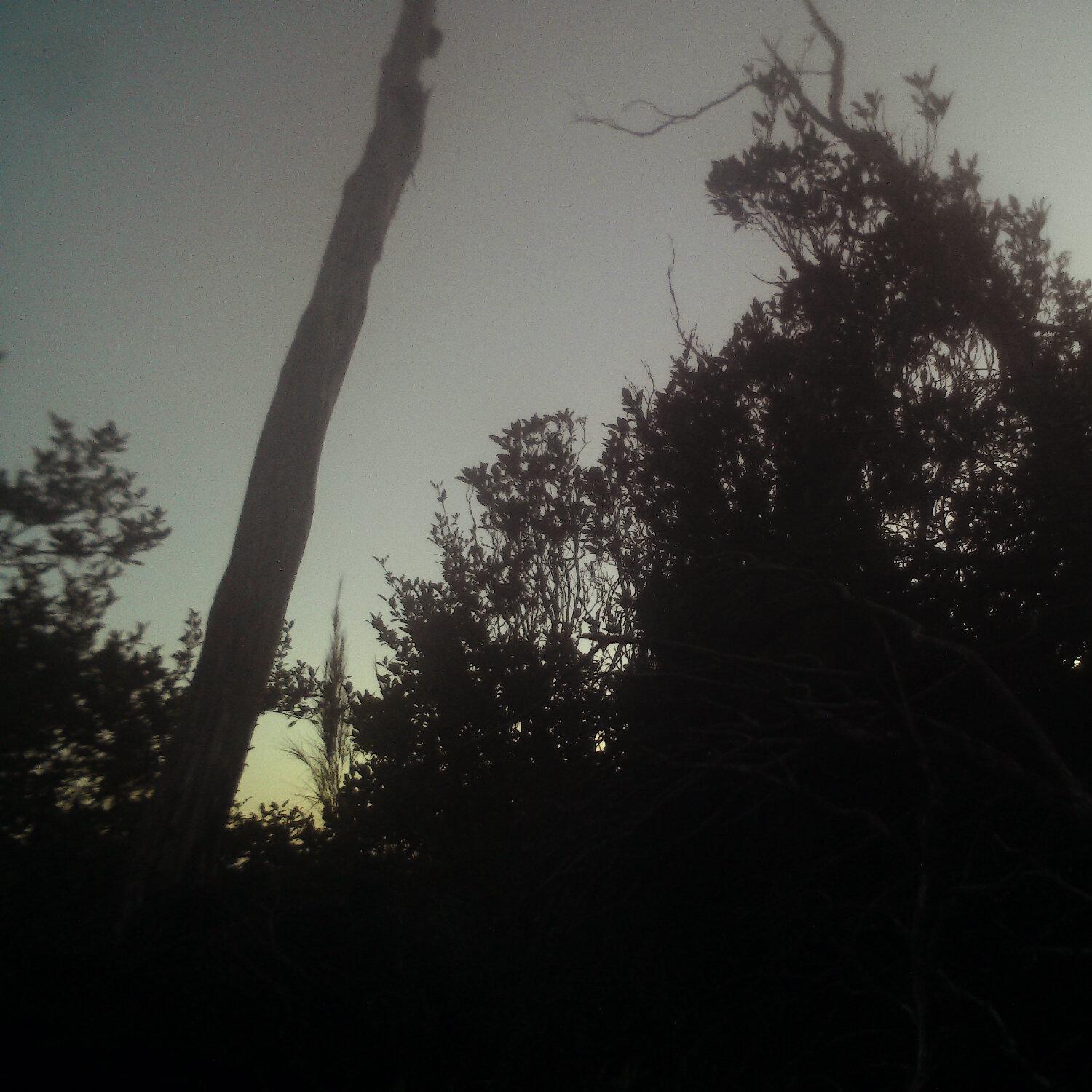 A photo captured from the webcam at the time the audio was recorded