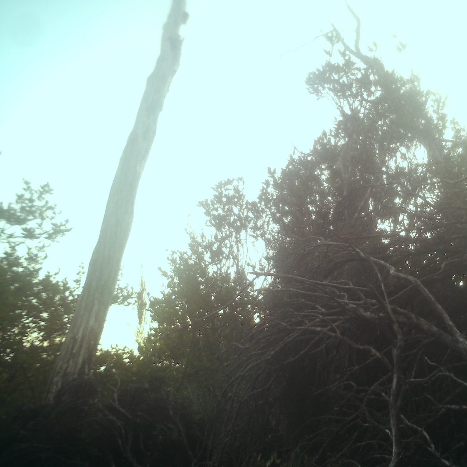 A photo captured from the webcam at the time the audio was recorded