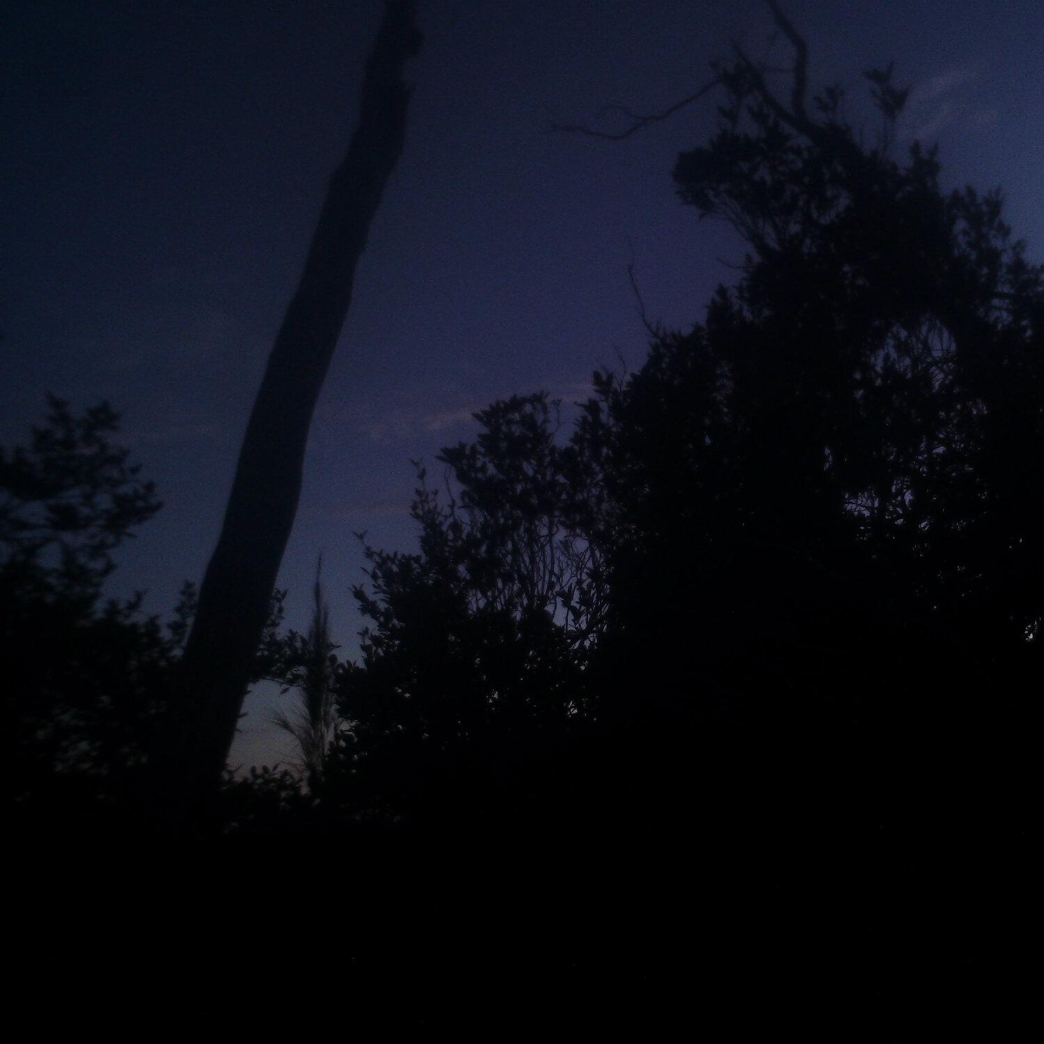 A photo captured from the webcam at the time the audio was recorded
