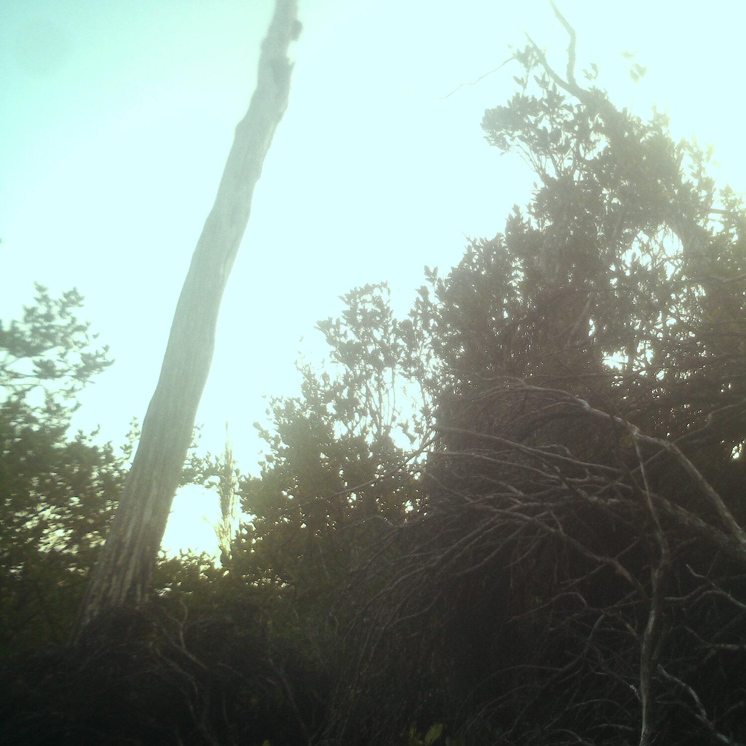 A photo captured from the webcam at the time the audio was recorded