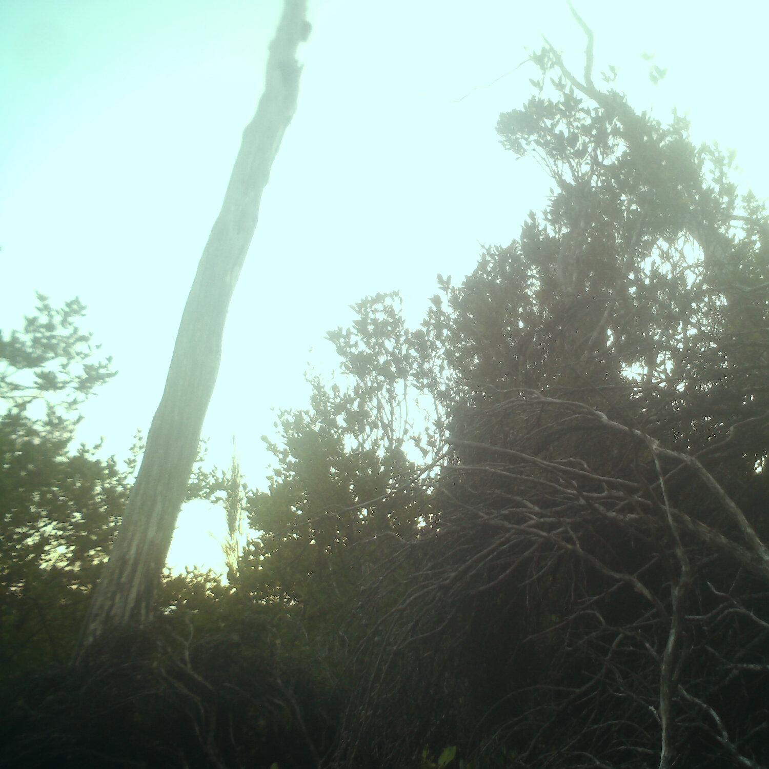 A photo captured from the webcam at the time the audio was recorded