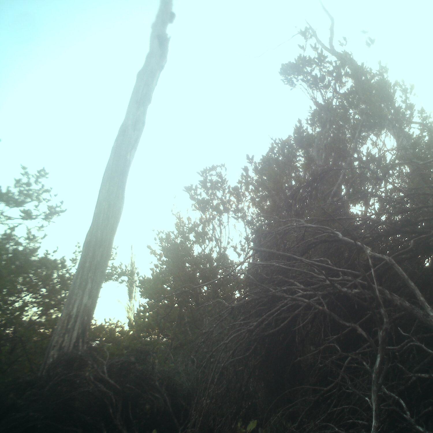 A photo captured from the webcam at the time the audio was recorded