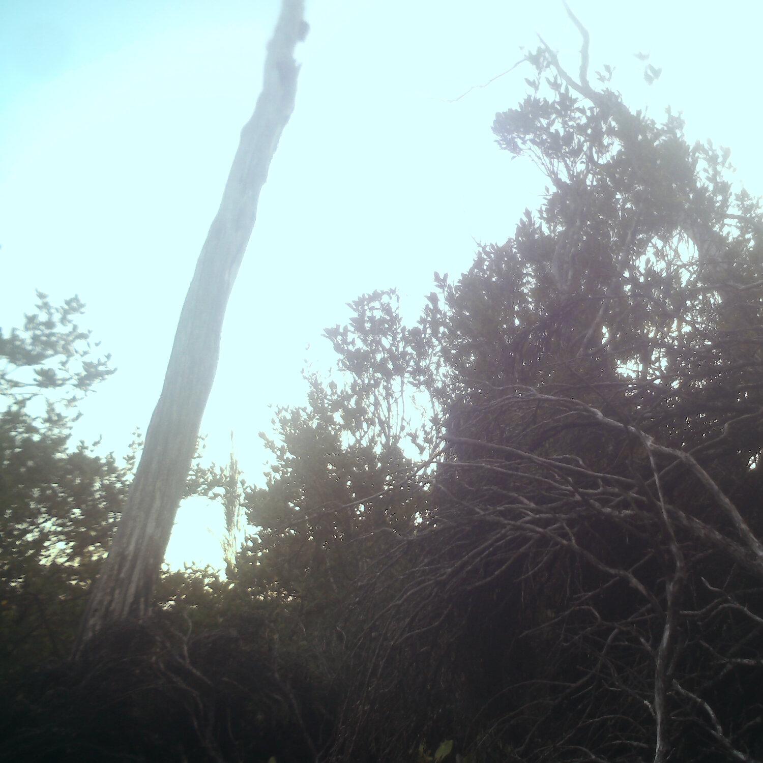 A photo captured from the webcam at the time the audio was recorded