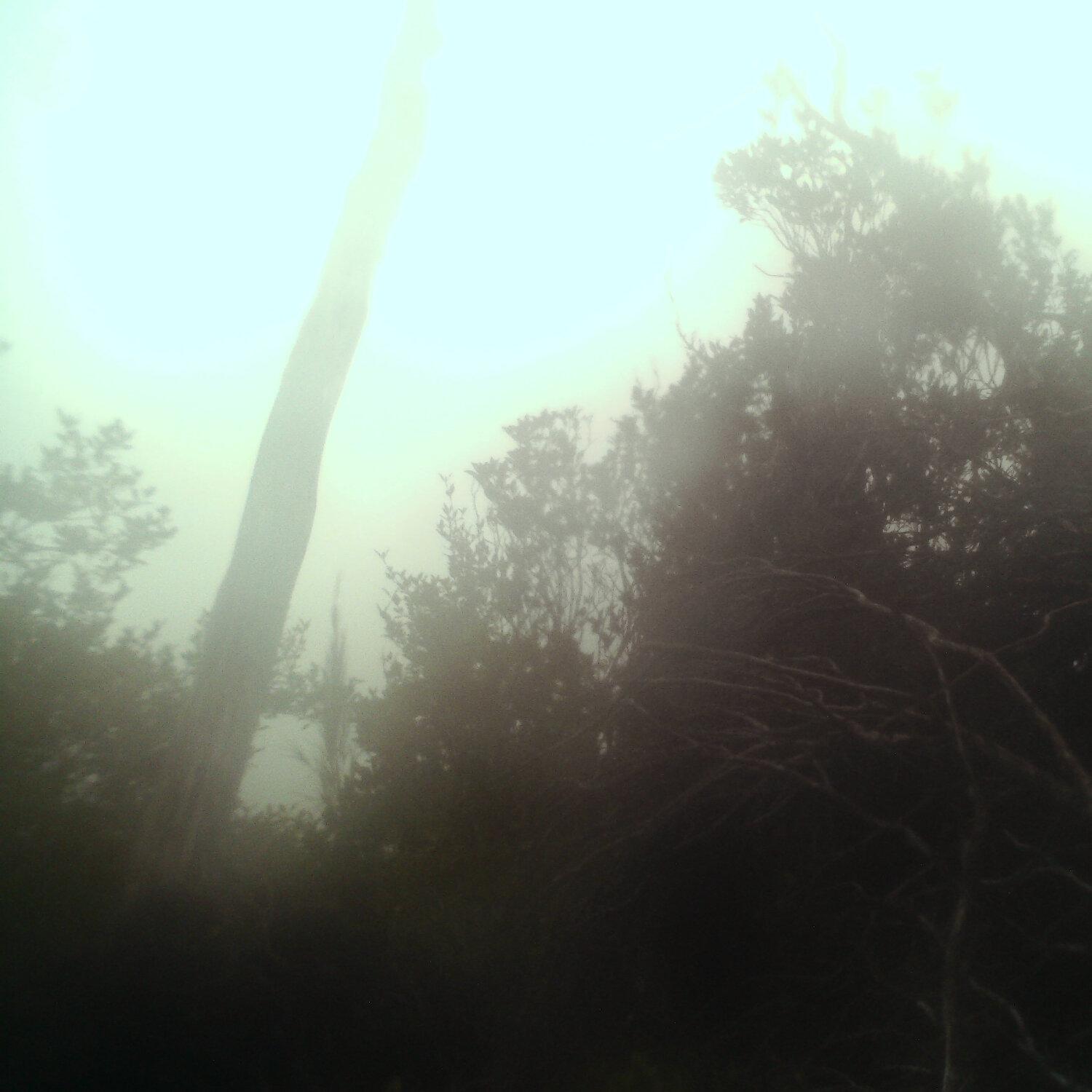 A photo captured from the webcam at the time the audio was recorded