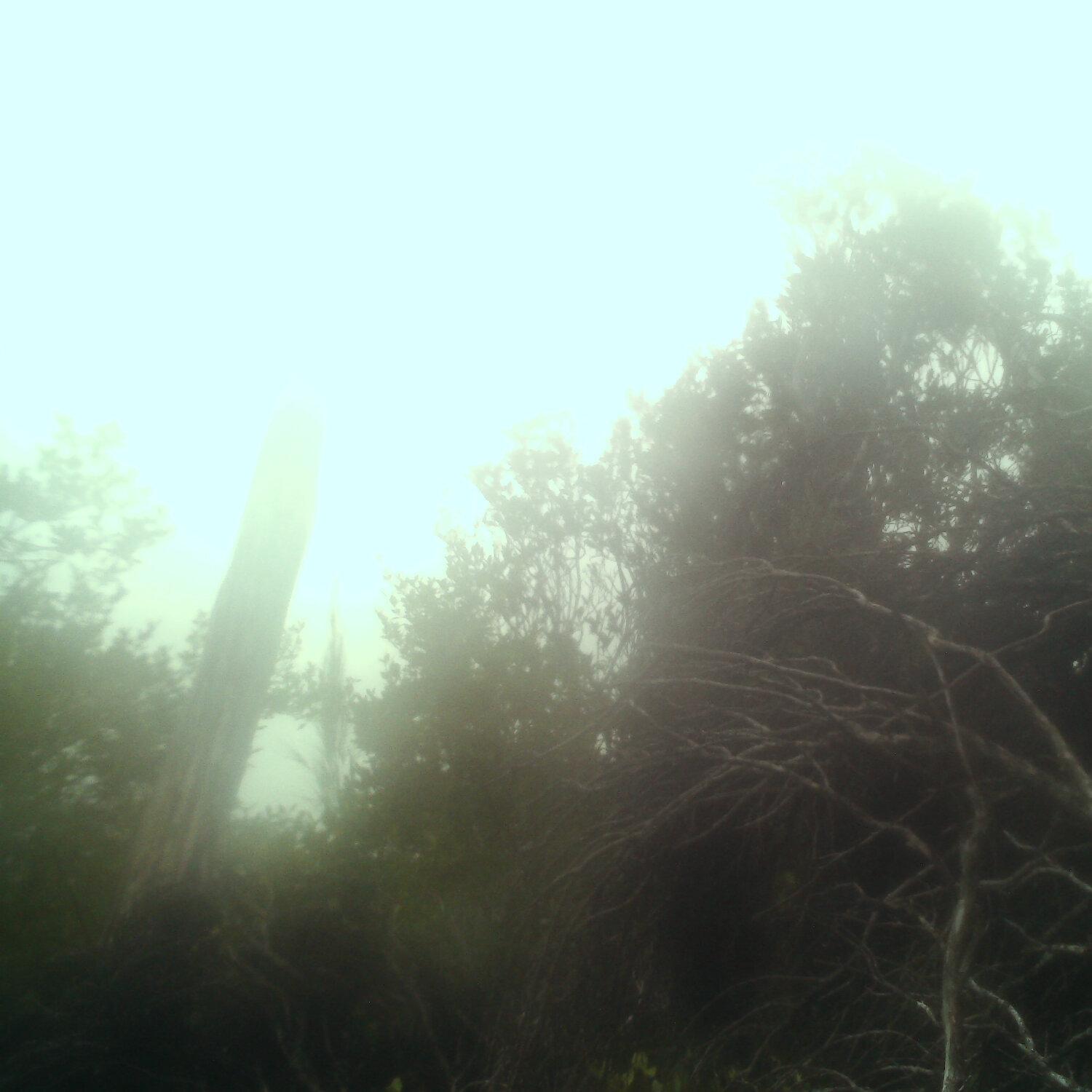 A photo captured from the webcam at the time the audio was recorded