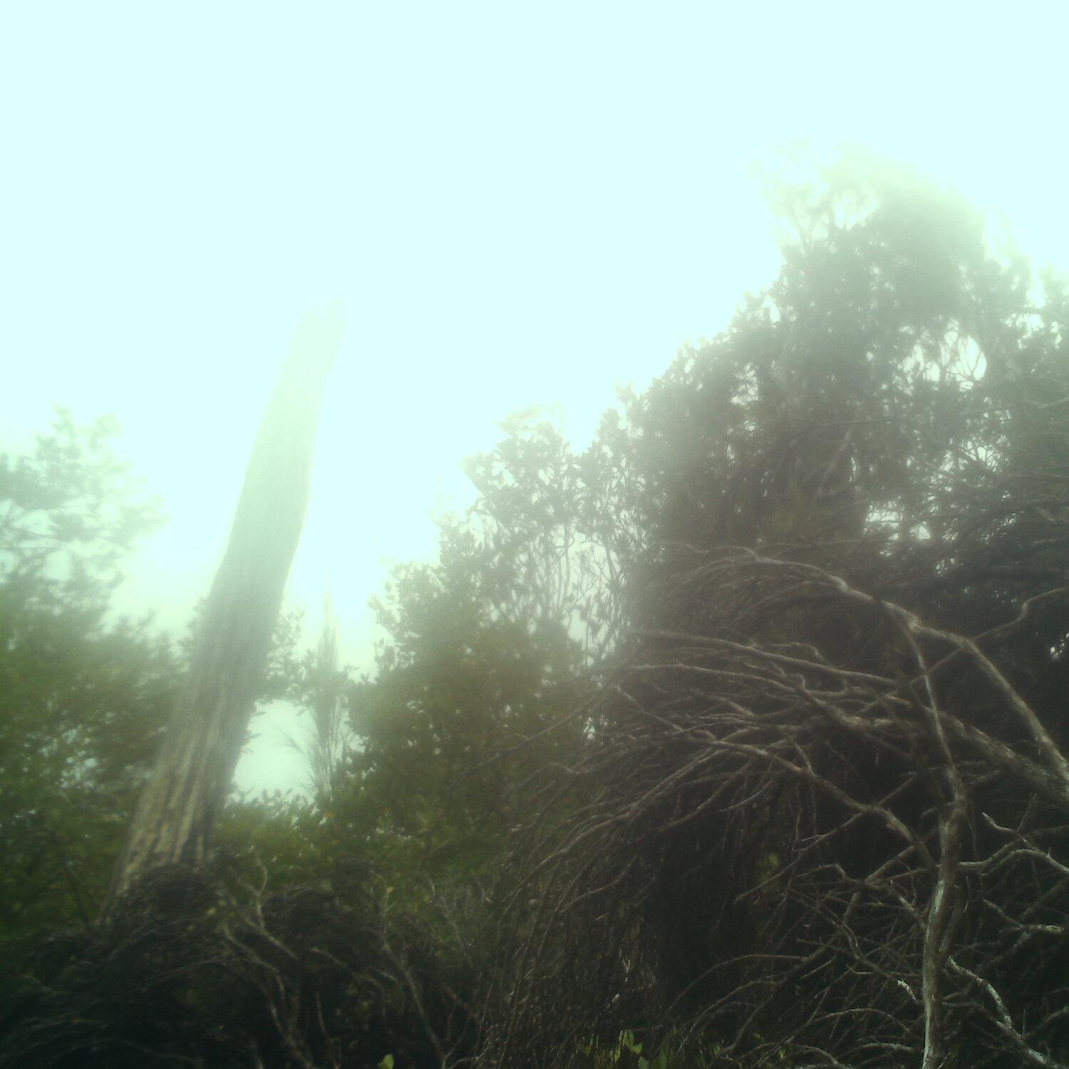 A photo captured from the webcam at the time the audio was recorded