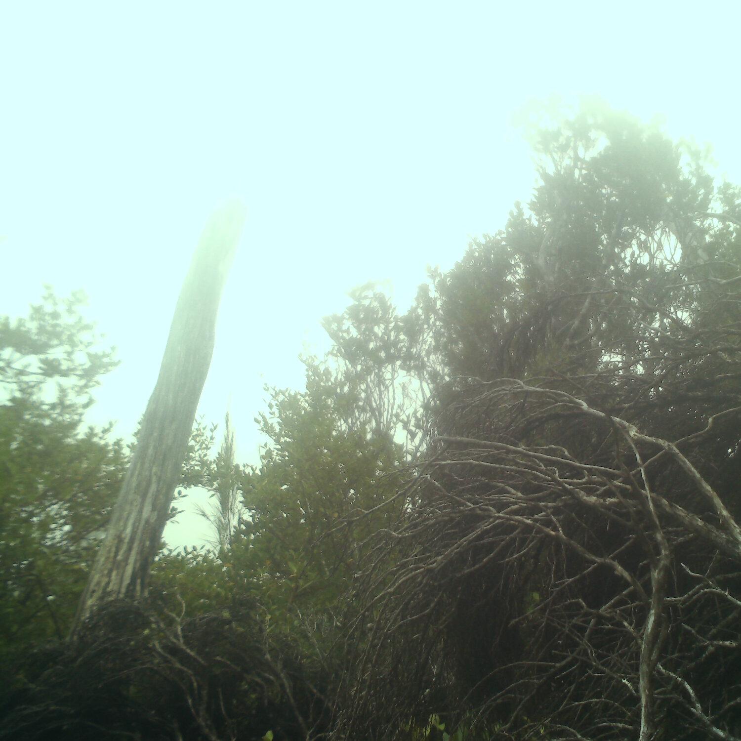 A photo captured from the webcam at the time the audio was recorded