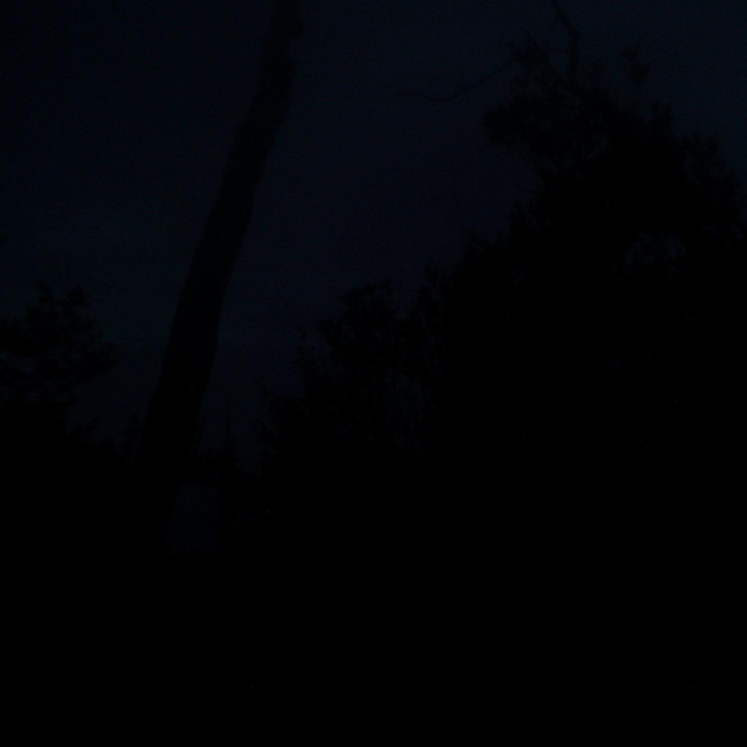 A photo captured from the webcam at the time the audio was recorded
