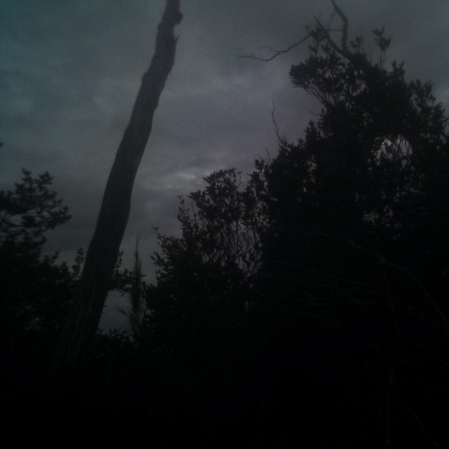 A photo captured from the webcam at the time the audio was recorded