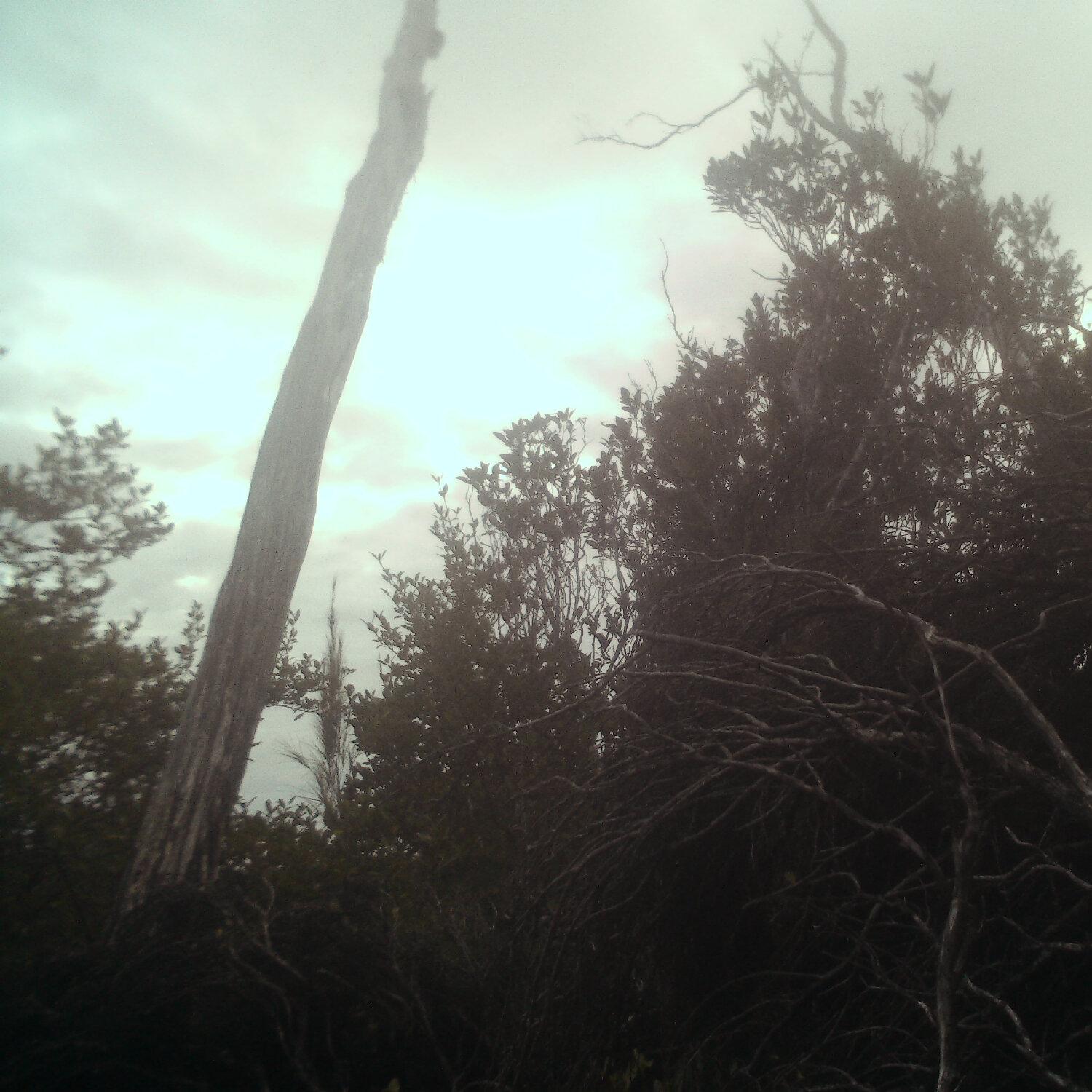 A photo captured from the webcam at the time the audio was recorded