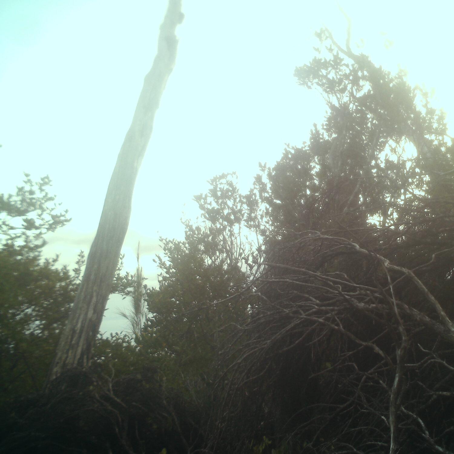 A photo captured from the webcam at the time the audio was recorded