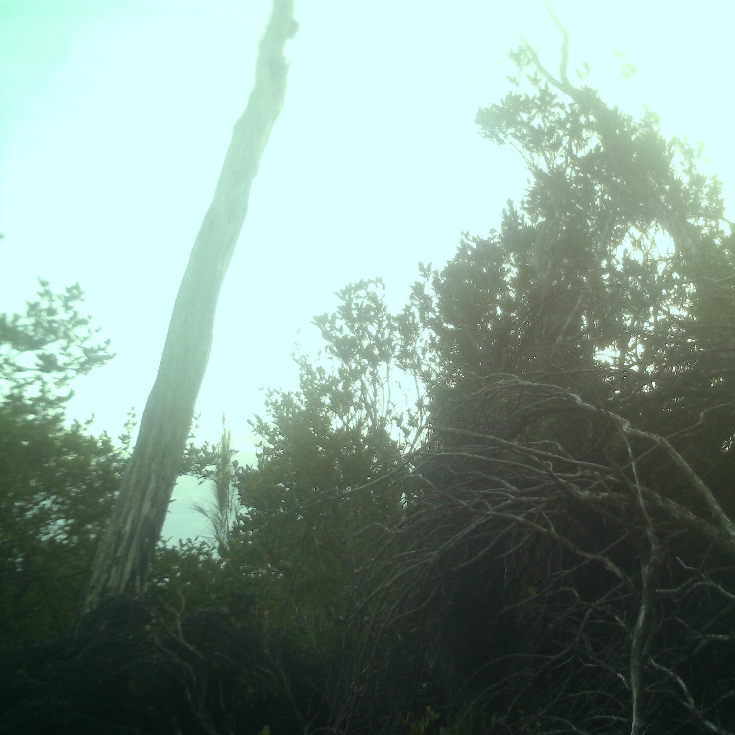 A photo captured from the webcam at the time the audio was recorded