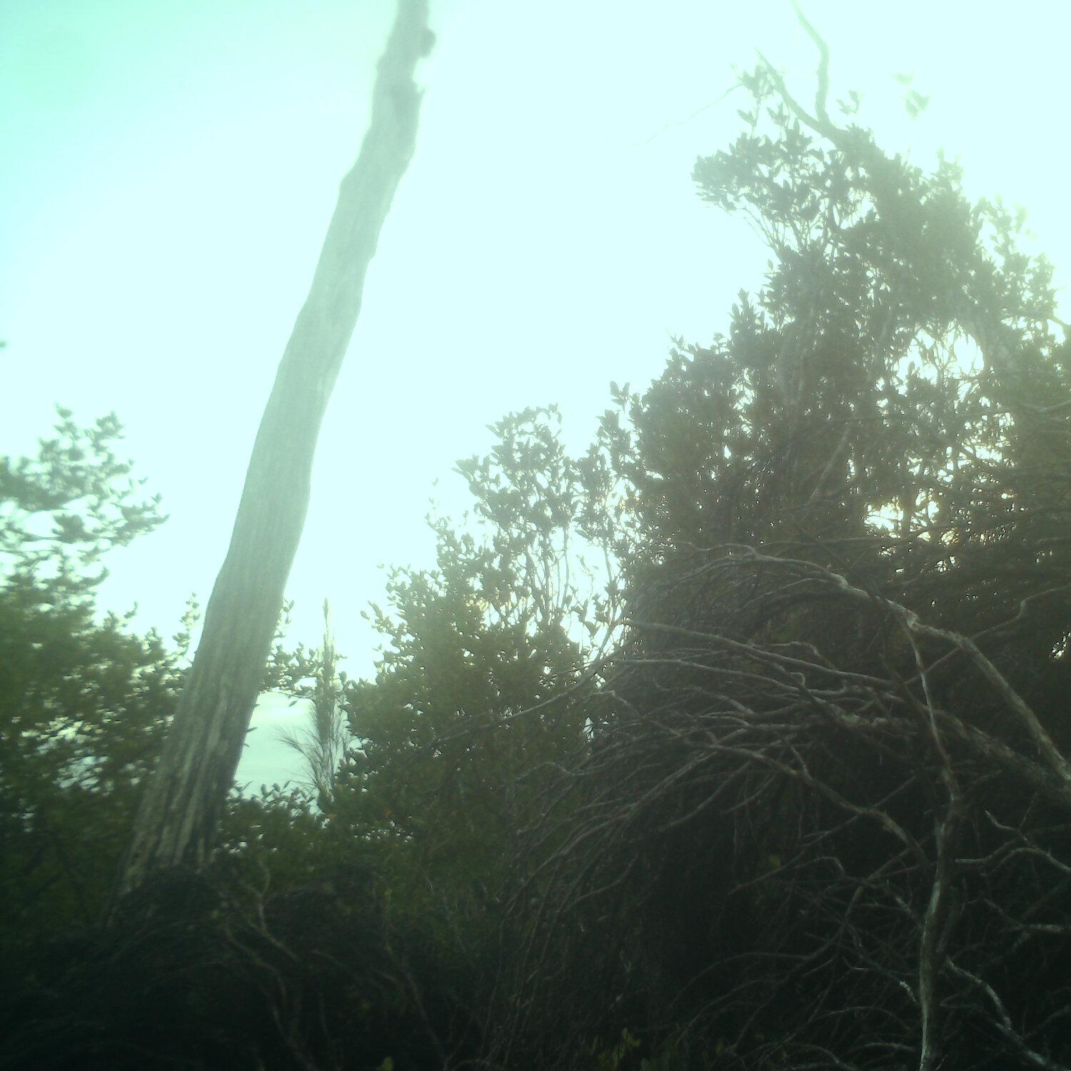 A photo captured from the webcam at the time the audio was recorded