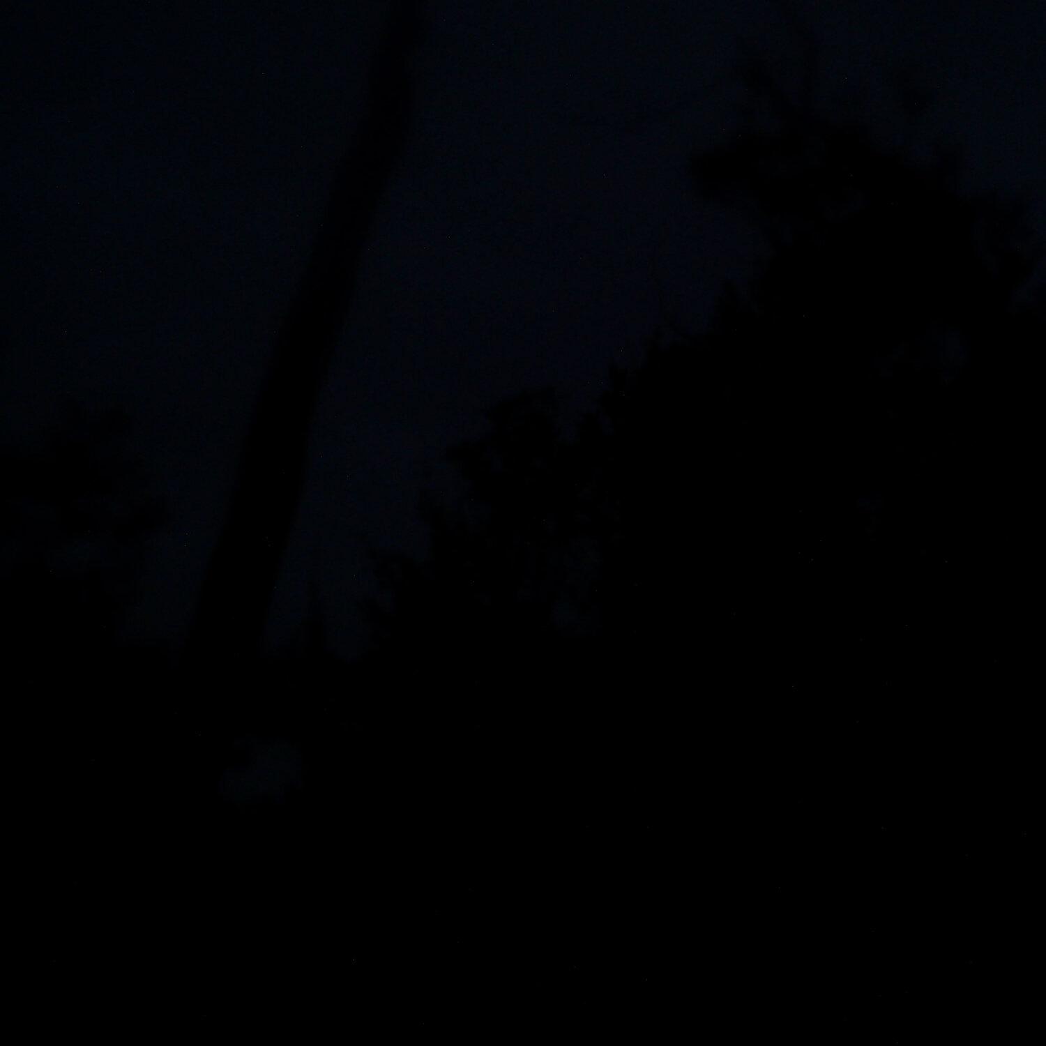 A photo captured from the webcam at the time the audio was recorded