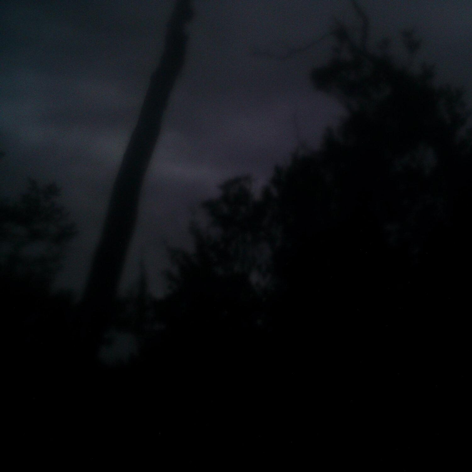 A photo captured from the webcam at the time the audio was recorded