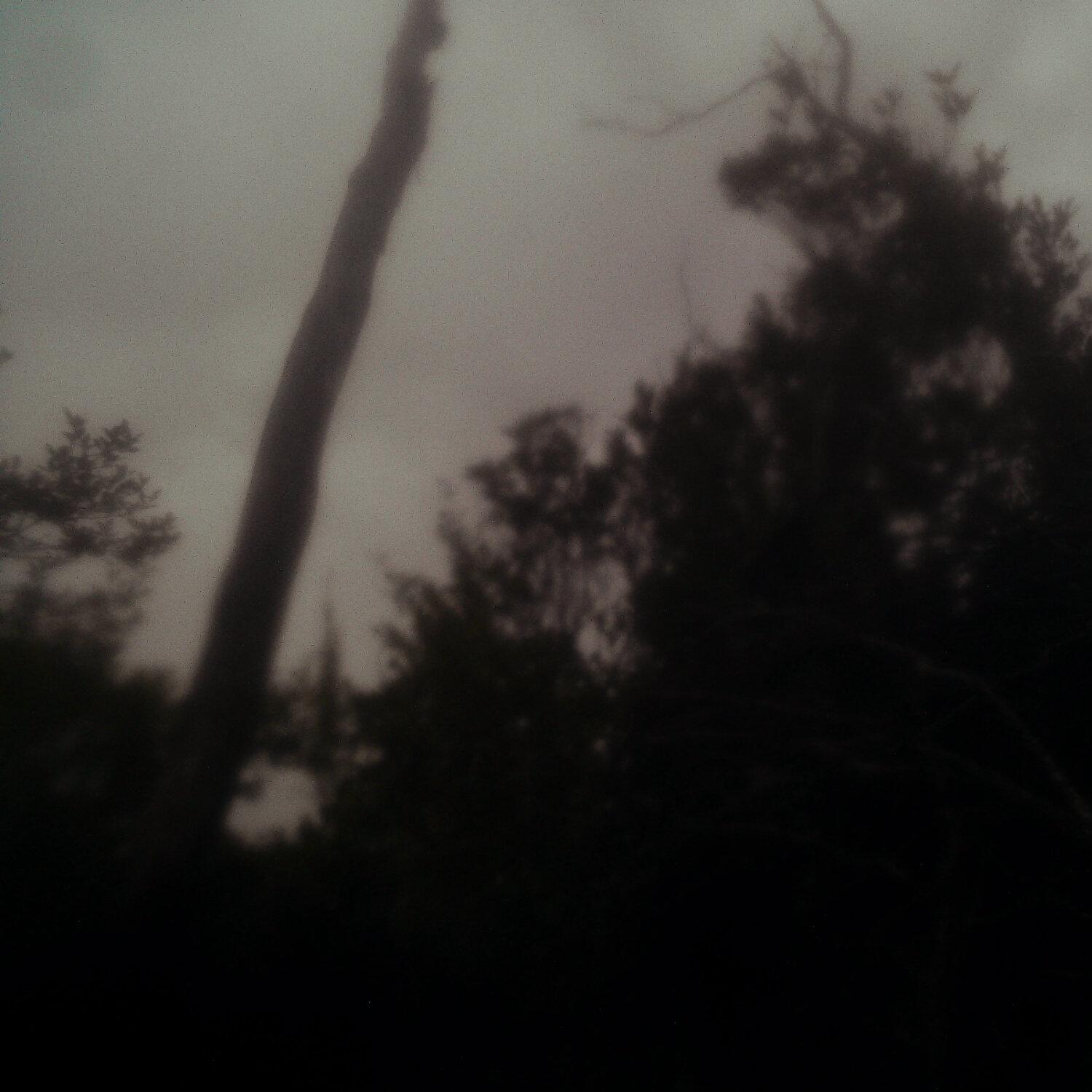 A photo captured from the webcam at the time the audio was recorded