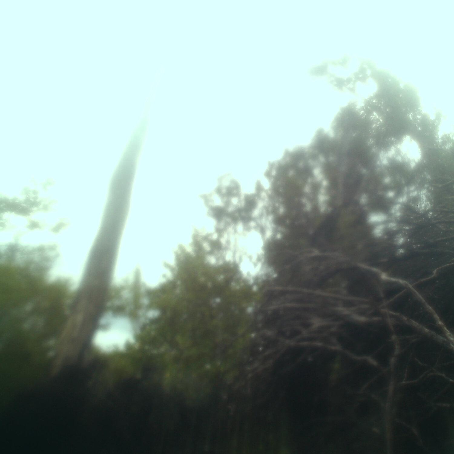 A photo captured from the webcam at the time the audio was recorded