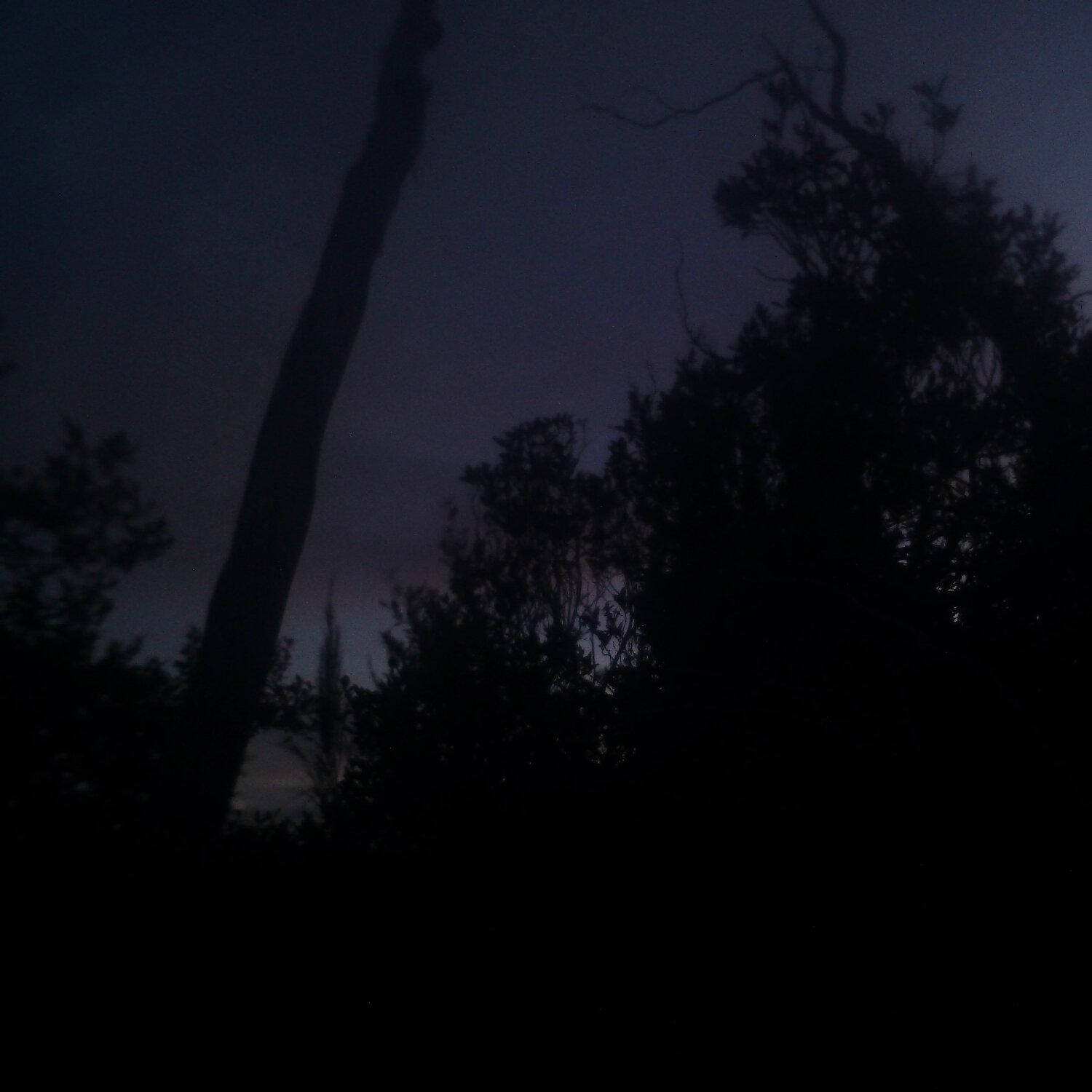 A photo captured from the webcam at the time the audio was recorded