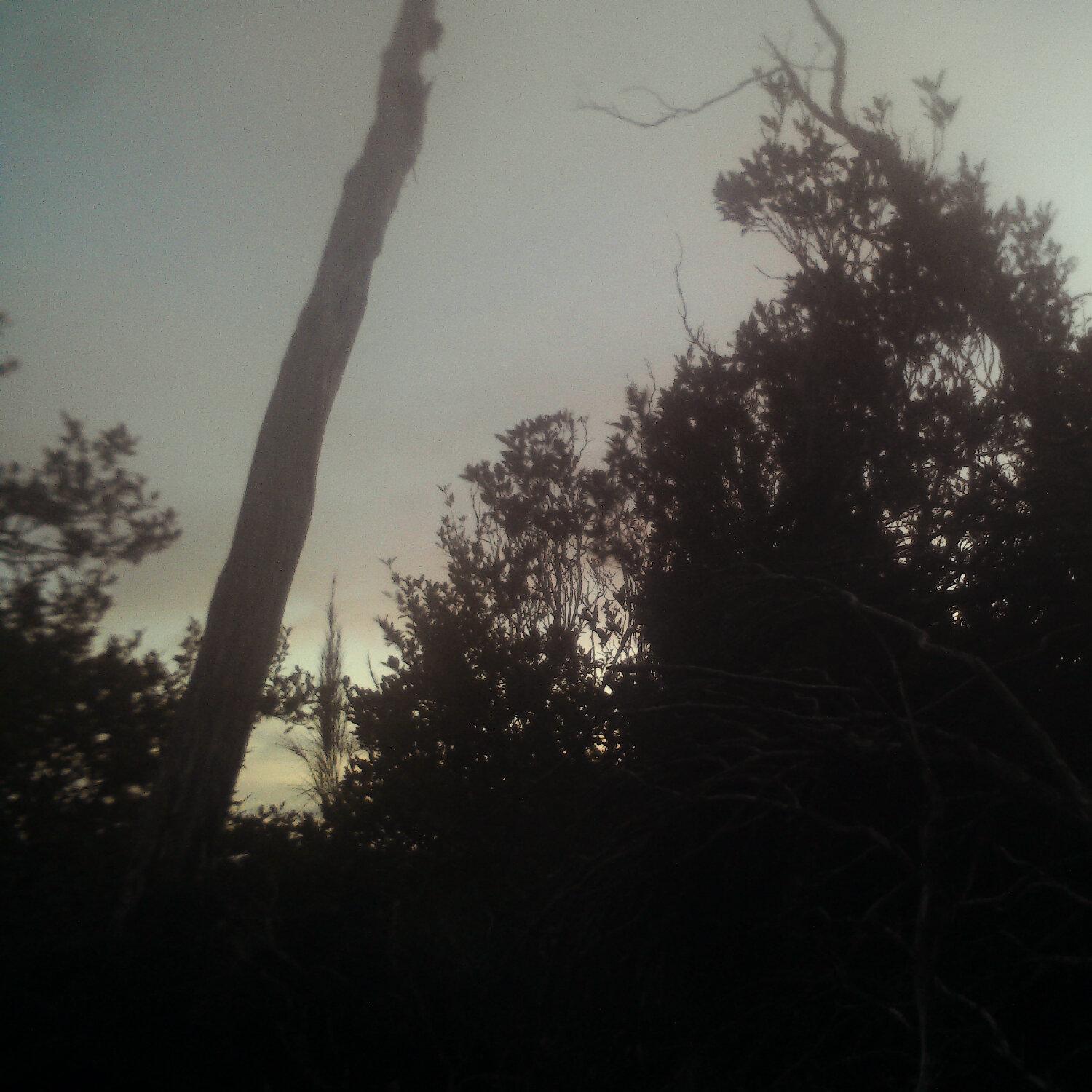 A photo captured from the webcam at the time the audio was recorded