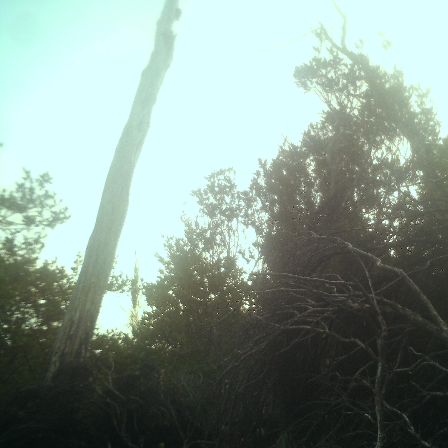 A photo captured from the webcam at the time the audio was recorded