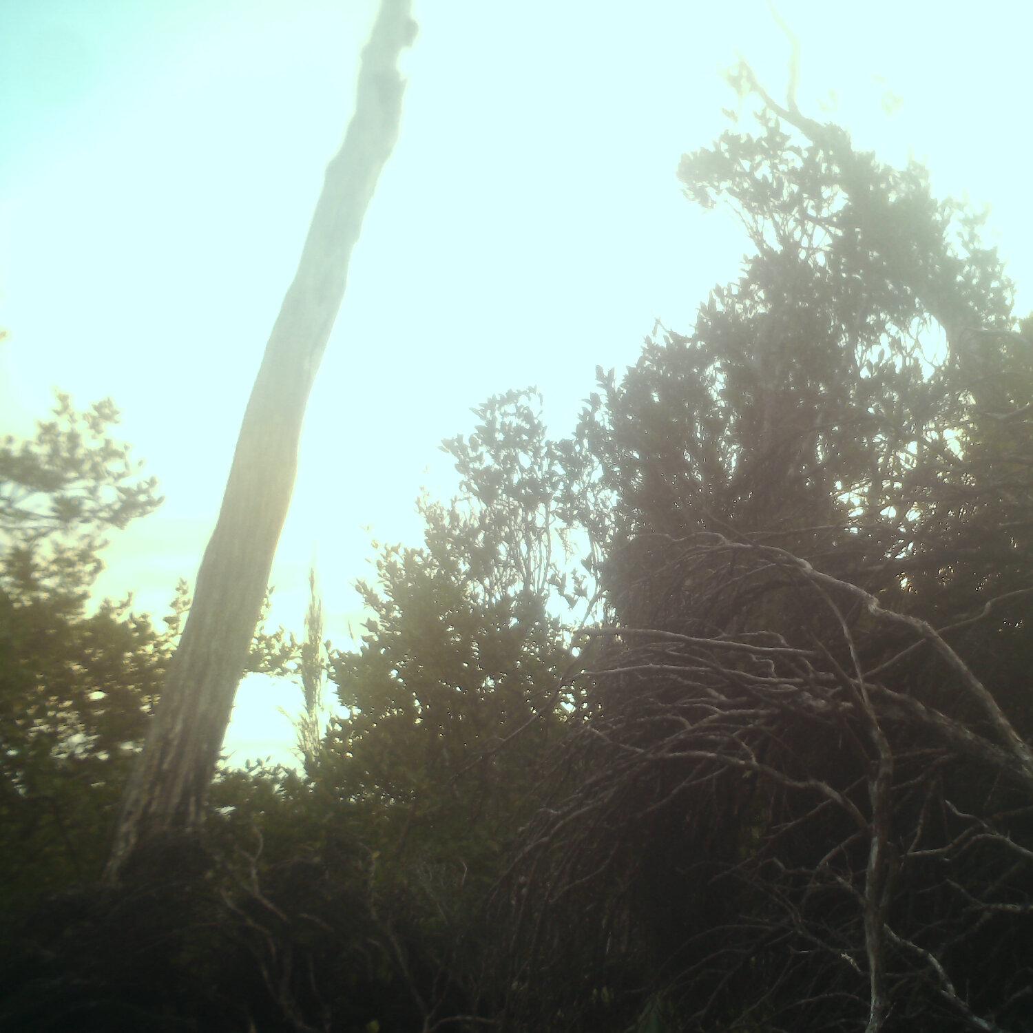 A photo captured from the webcam at the time the audio was recorded