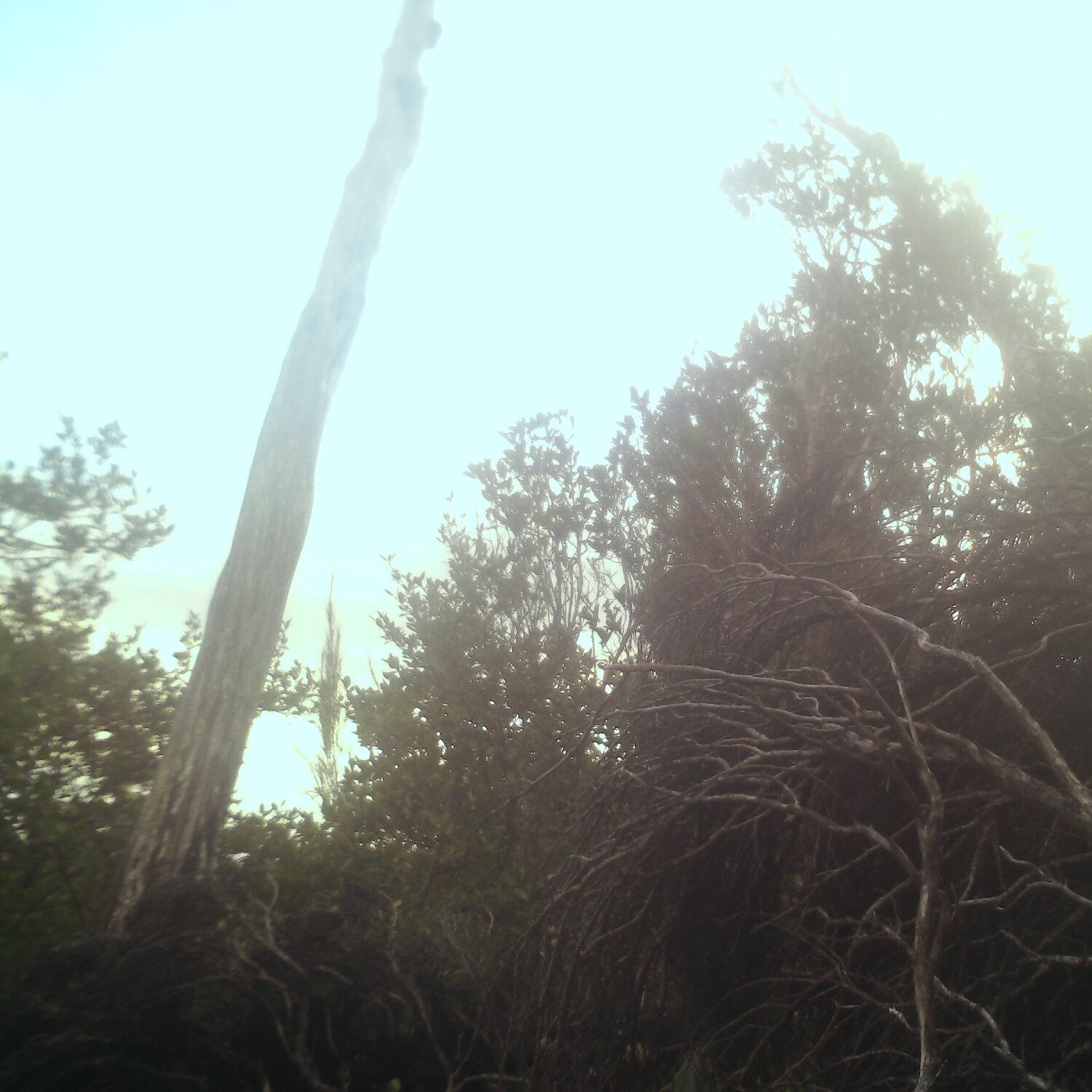 A photo captured from the webcam at the time the audio was recorded