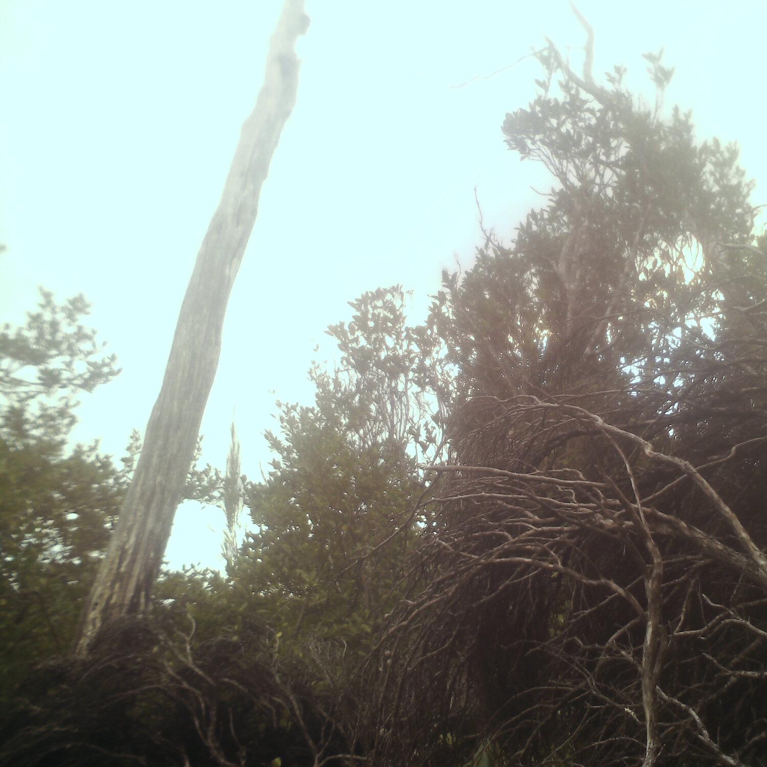 A photo captured from the webcam at the time the audio was recorded