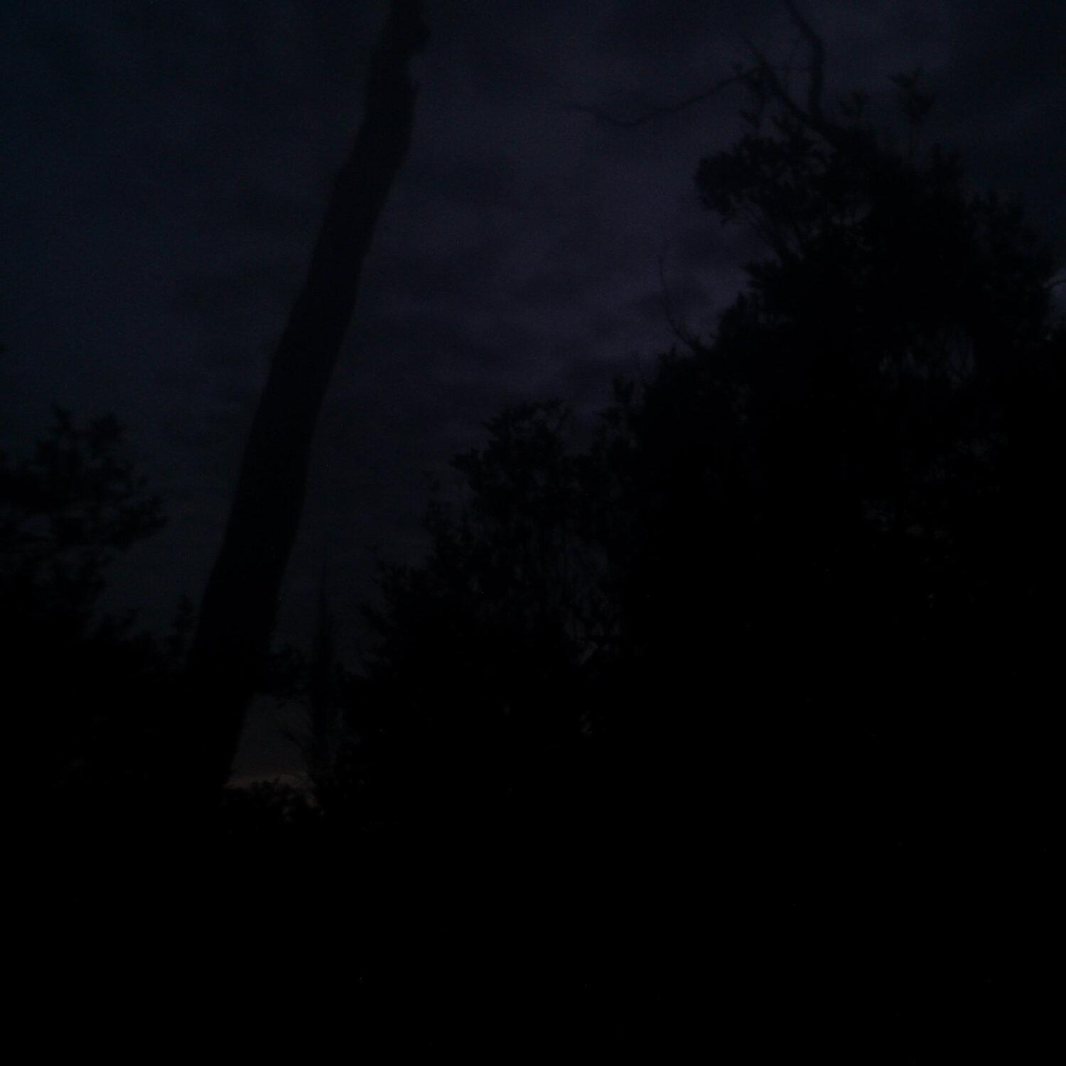 A photo captured from the webcam at the time the audio was recorded