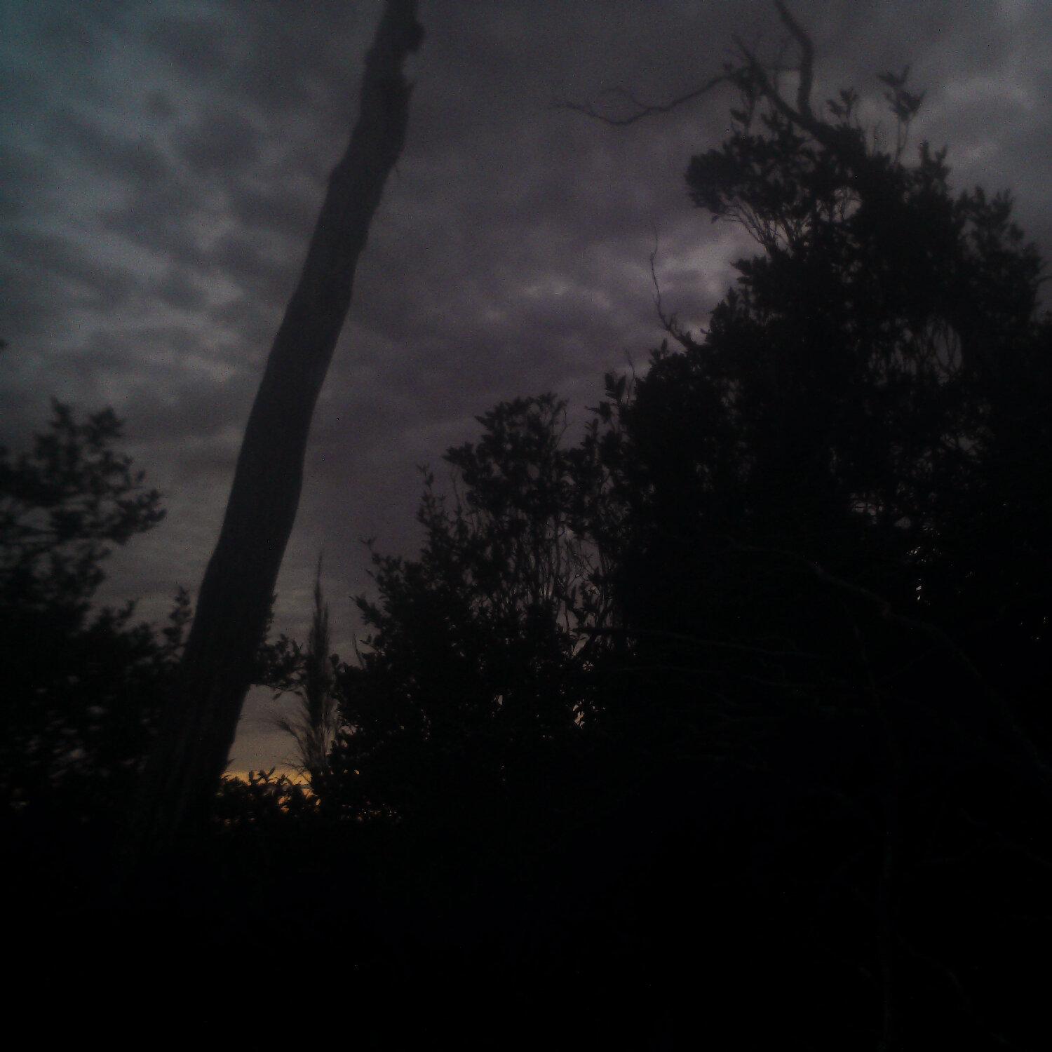 A photo captured from the webcam at the time the audio was recorded