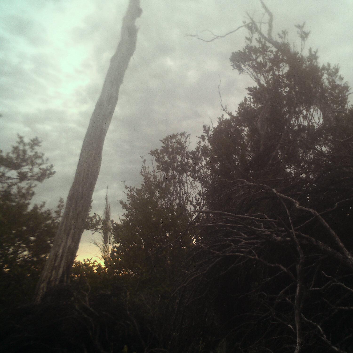 A photo captured from the webcam at the time the audio was recorded