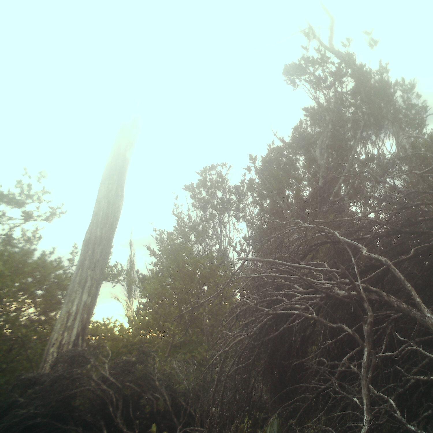 A photo captured from the webcam at the time the audio was recorded