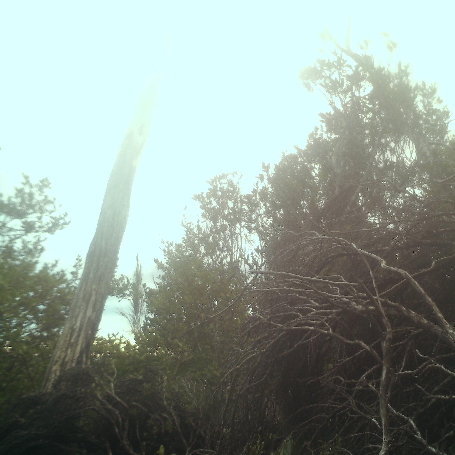 A photo captured from the webcam at the time the audio was recorded