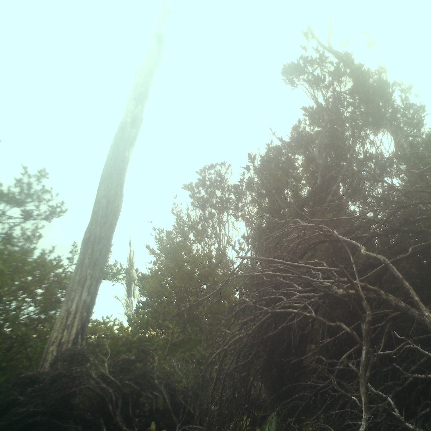 A photo captured from the webcam at the time the audio was recorded