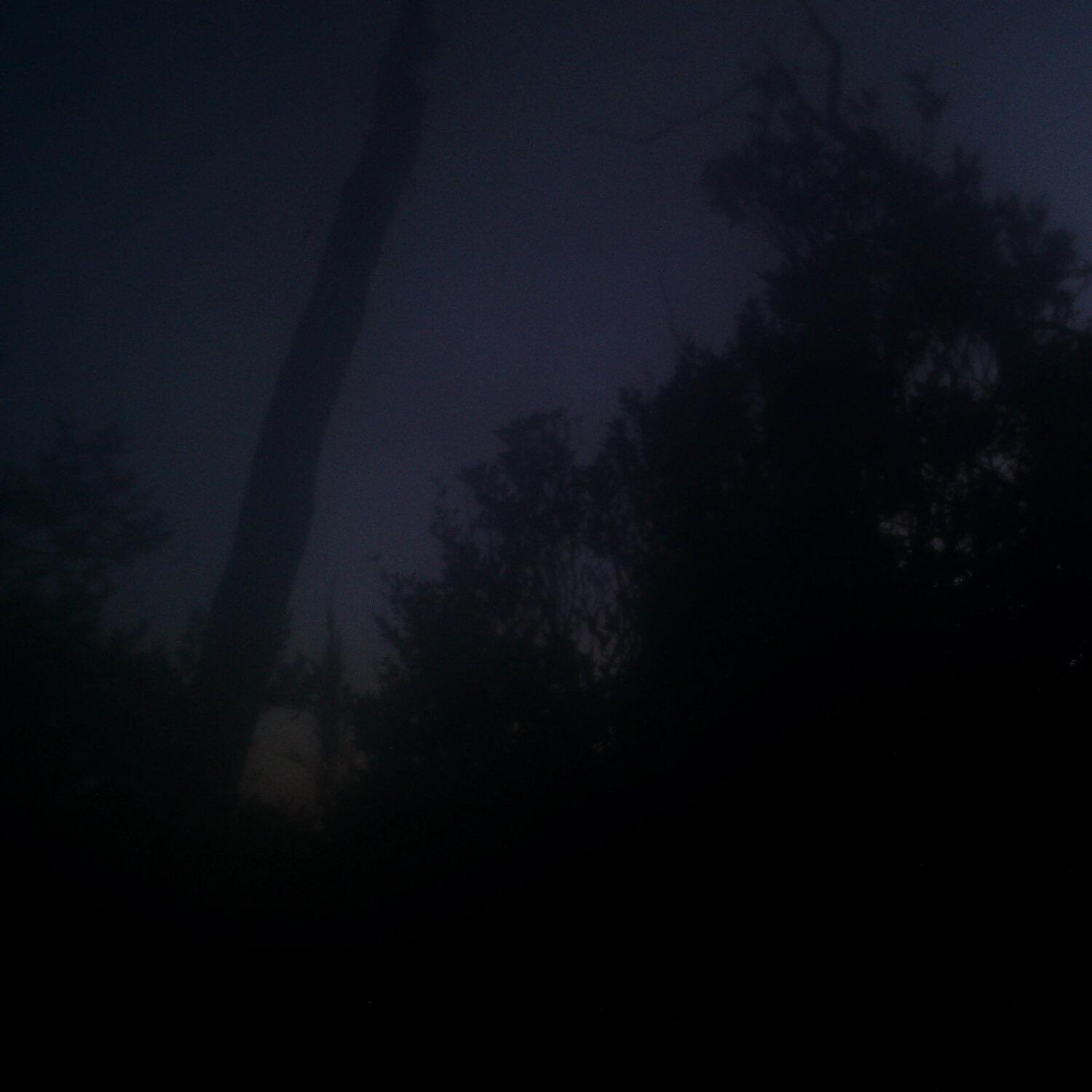 A photo captured from the webcam at the time the audio was recorded