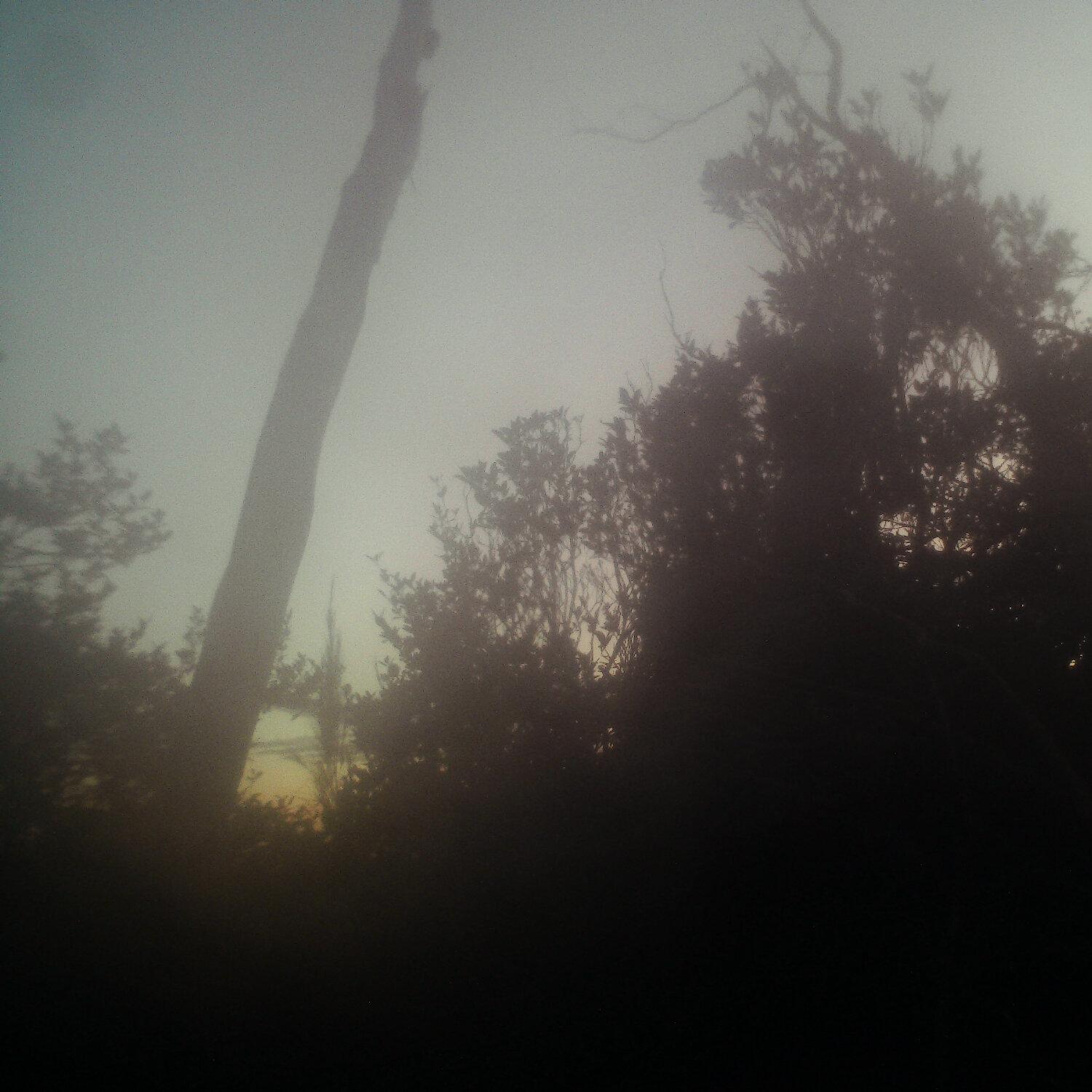 A photo captured from the webcam at the time the audio was recorded