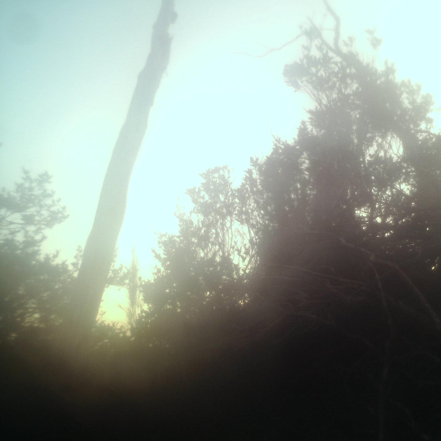 A photo captured from the webcam at the time the audio was recorded