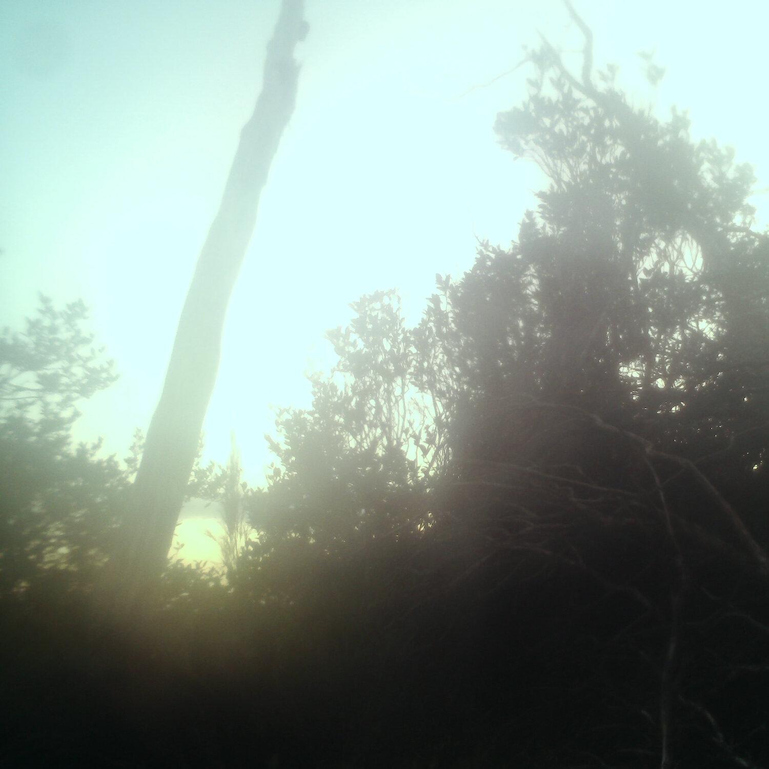 A photo captured from the webcam at the time the audio was recorded