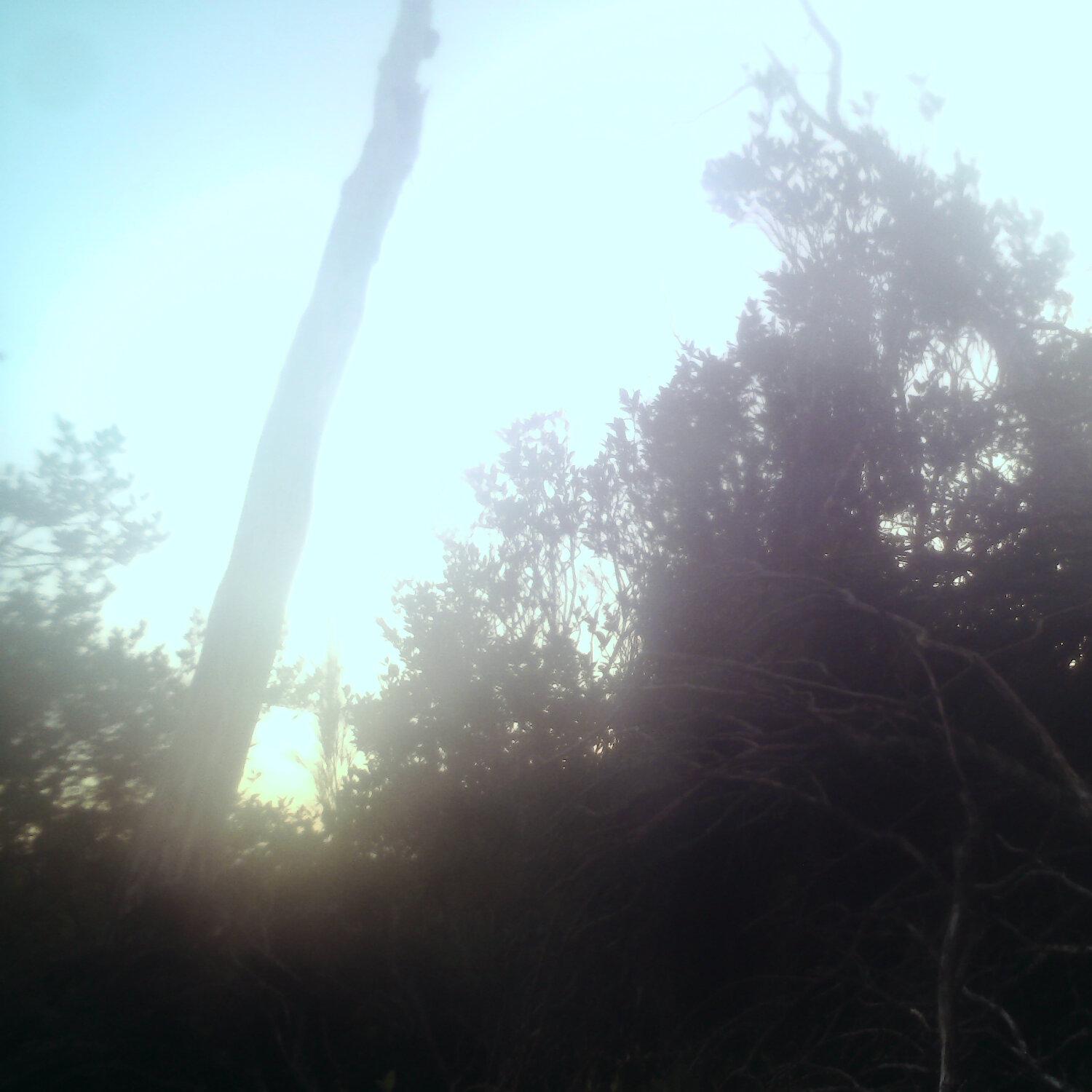 A photo captured from the webcam at the time the audio was recorded