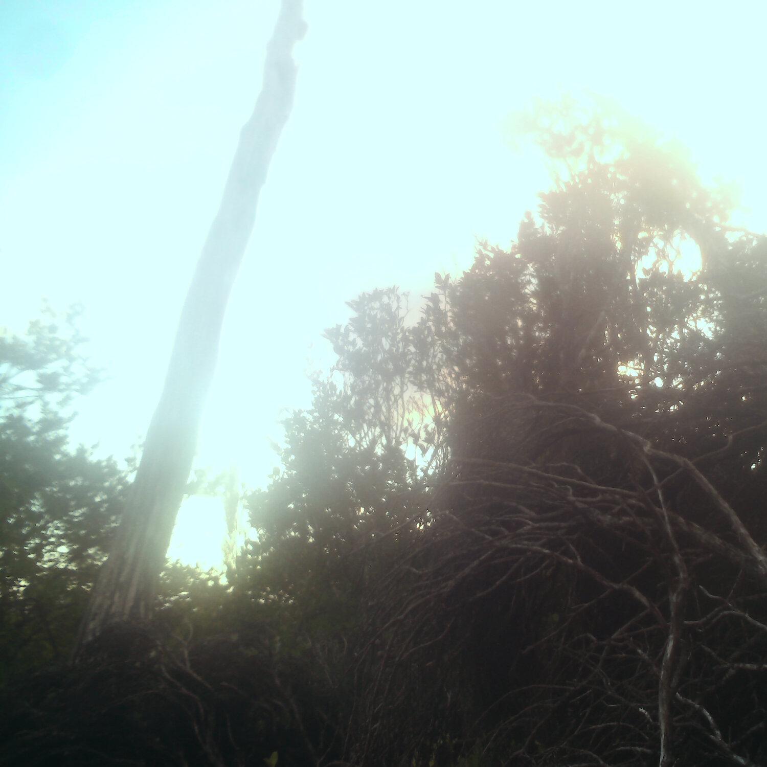 A photo captured from the webcam at the time the audio was recorded