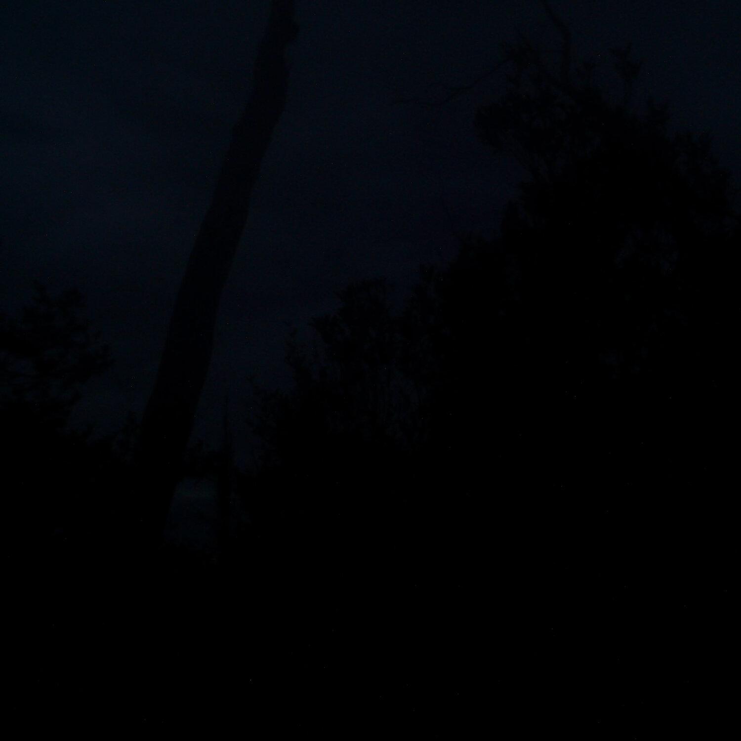 A photo captured from the webcam at the time the audio was recorded