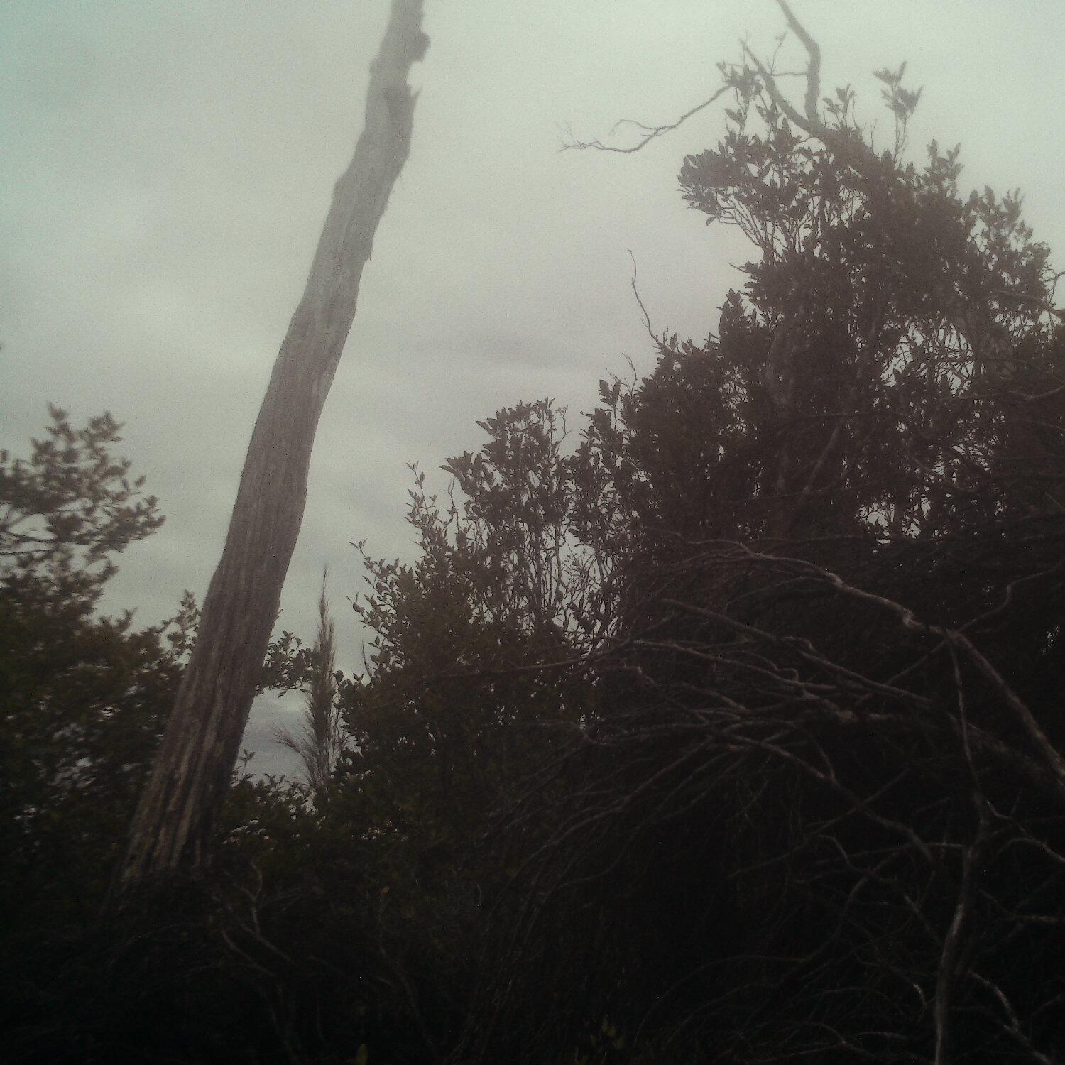A photo captured from the webcam at the time the audio was recorded