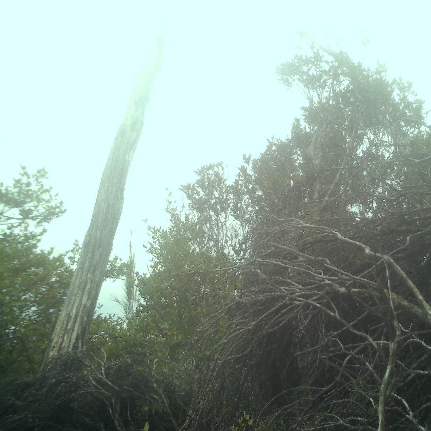 A photo captured from the webcam at the time the audio was recorded