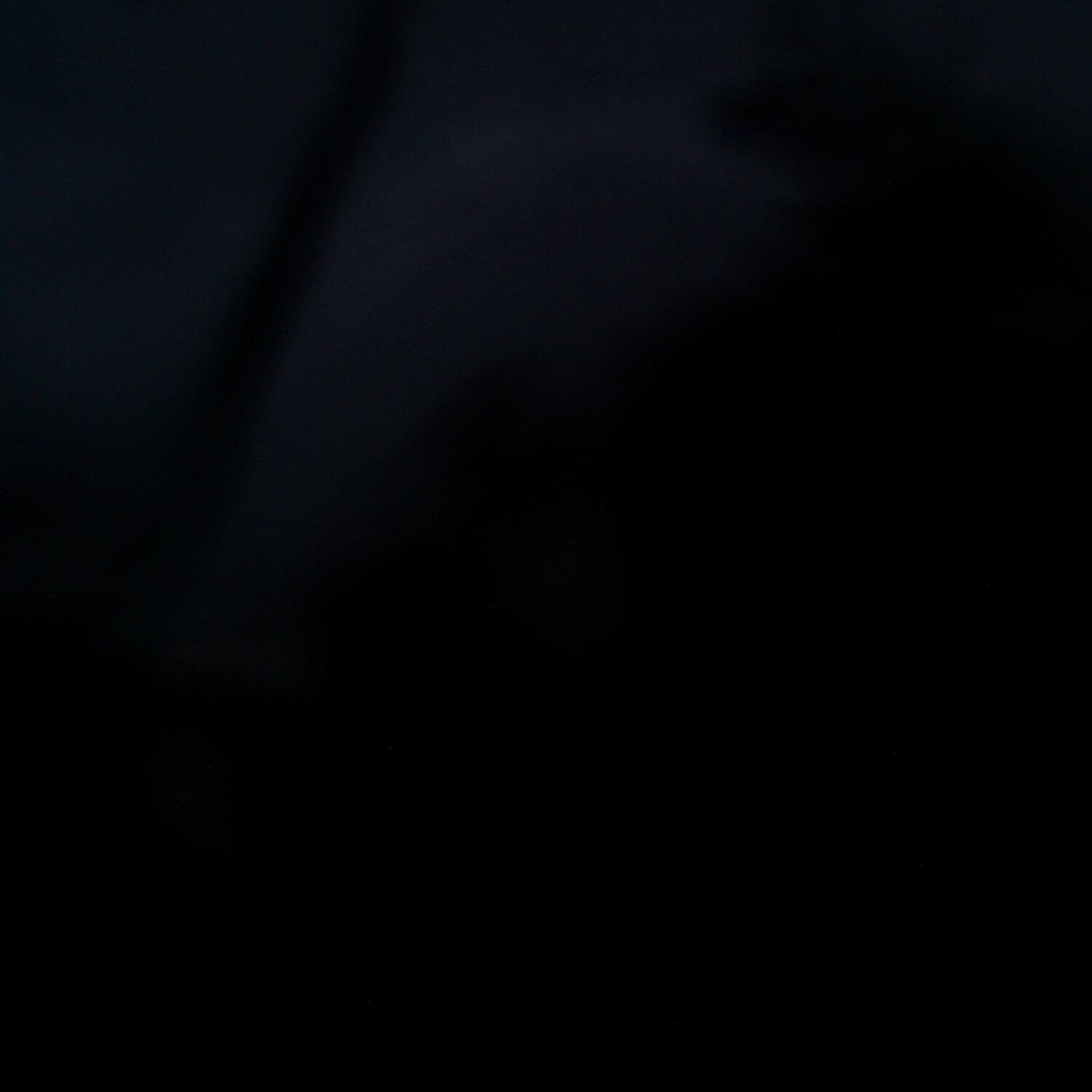 A photo captured from the webcam at the time the audio was recorded