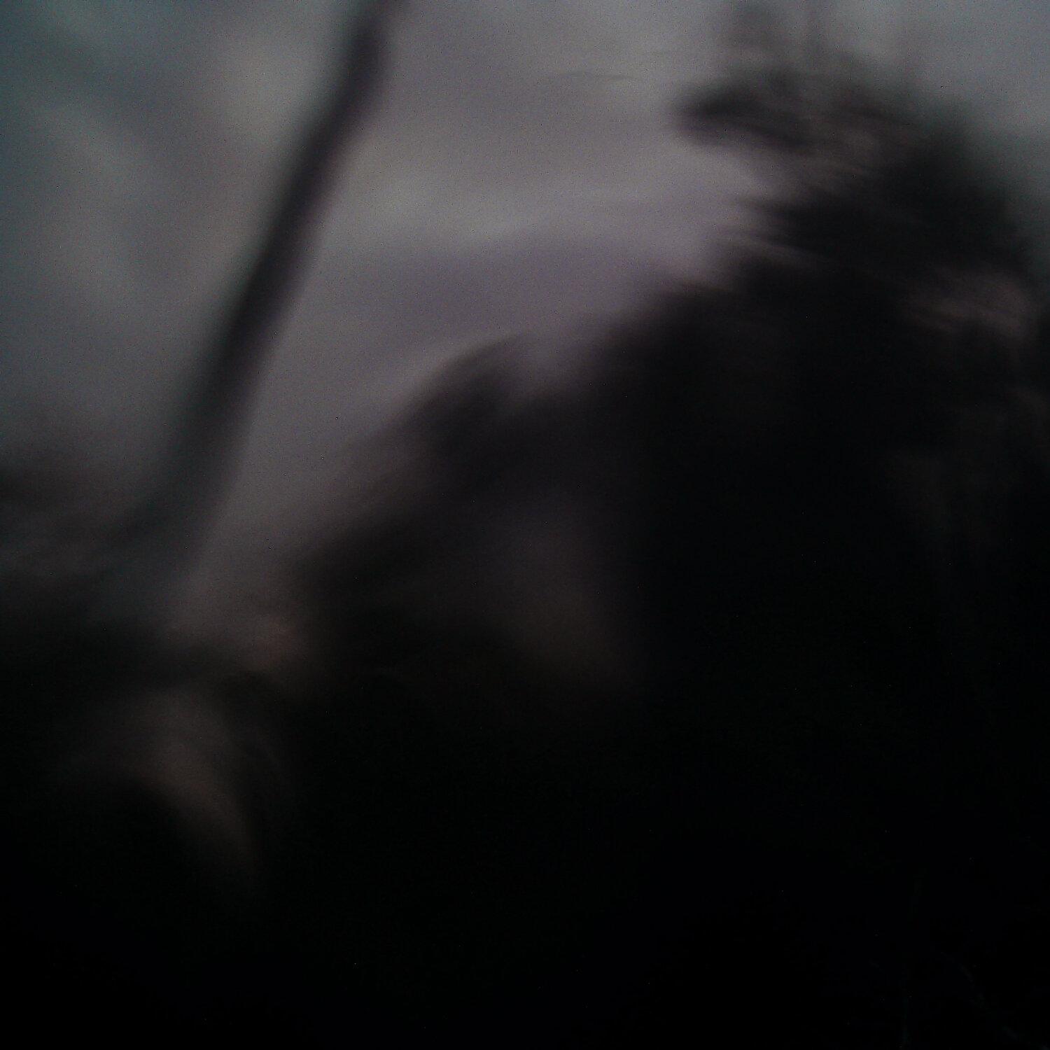 A photo captured from the webcam at the time the audio was recorded