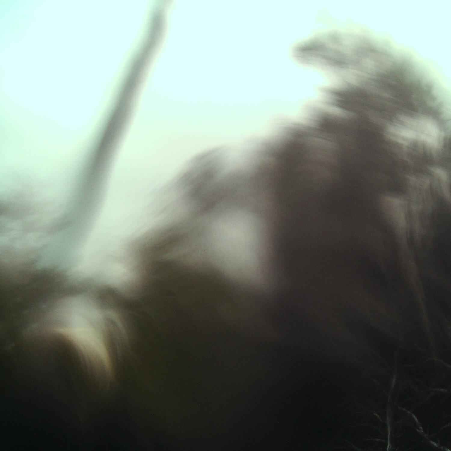 A photo captured from the webcam at the time the audio was recorded